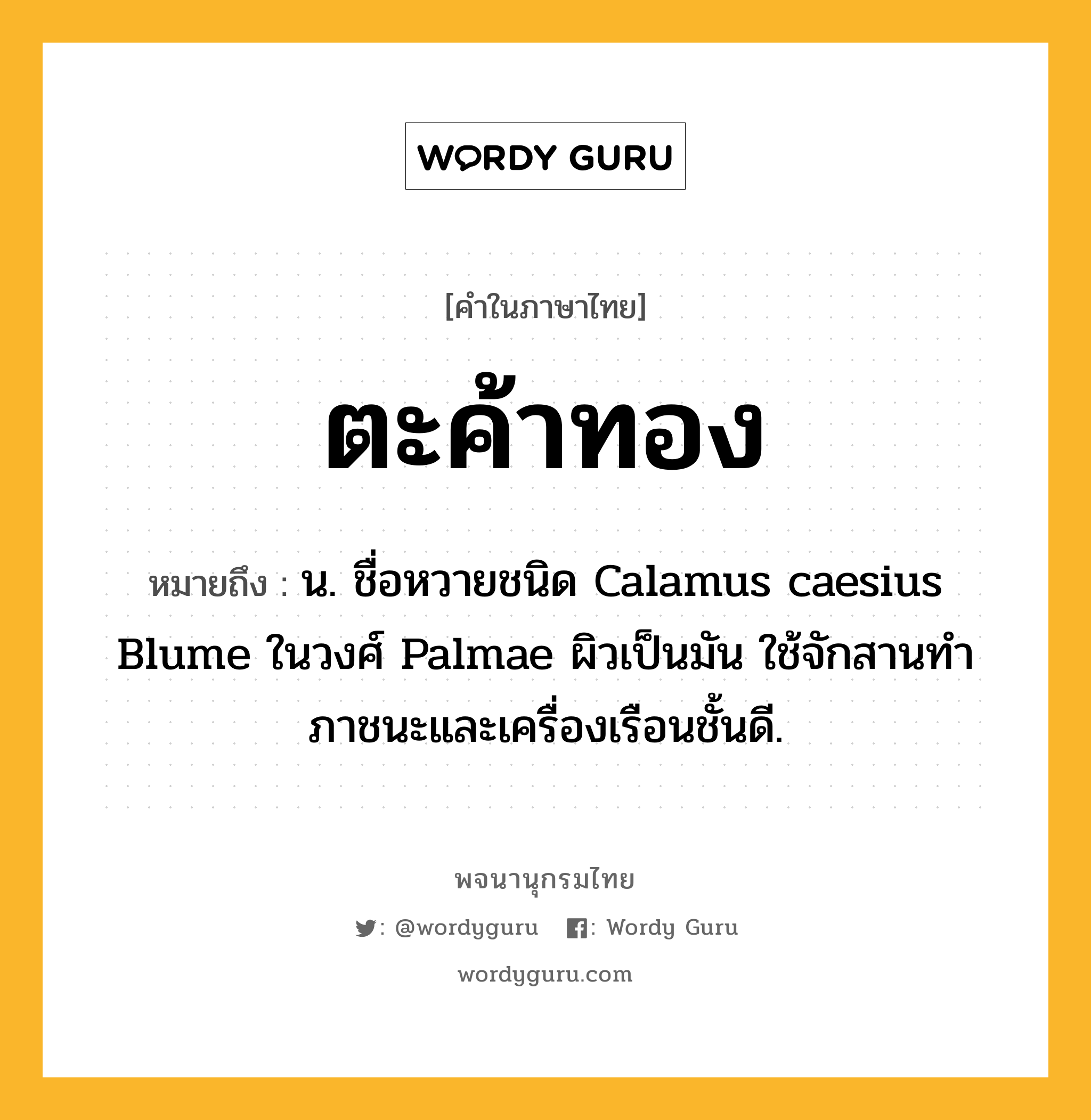 ตะค้าทอง หมายถึงอะไร?, คำในภาษาไทย ตะค้าทอง หมายถึง น. ชื่อหวายชนิด Calamus caesius Blume ในวงศ์ Palmae ผิวเป็นมัน ใช้จักสานทําภาชนะและเครื่องเรือนชั้นดี.