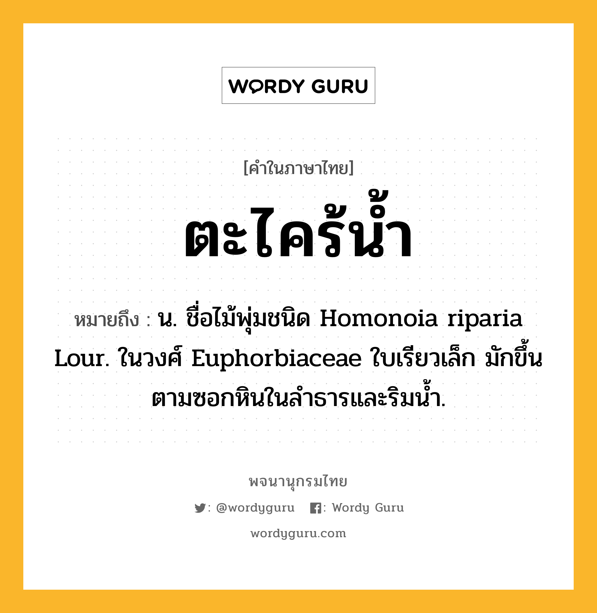 ตะไคร้น้ำ หมายถึงอะไร?, คำในภาษาไทย ตะไคร้น้ำ หมายถึง น. ชื่อไม้พุ่มชนิด Homonoia riparia Lour. ในวงศ์ Euphorbiaceae ใบเรียวเล็ก มักขึ้นตามซอกหินในลําธารและริมน้ำ.