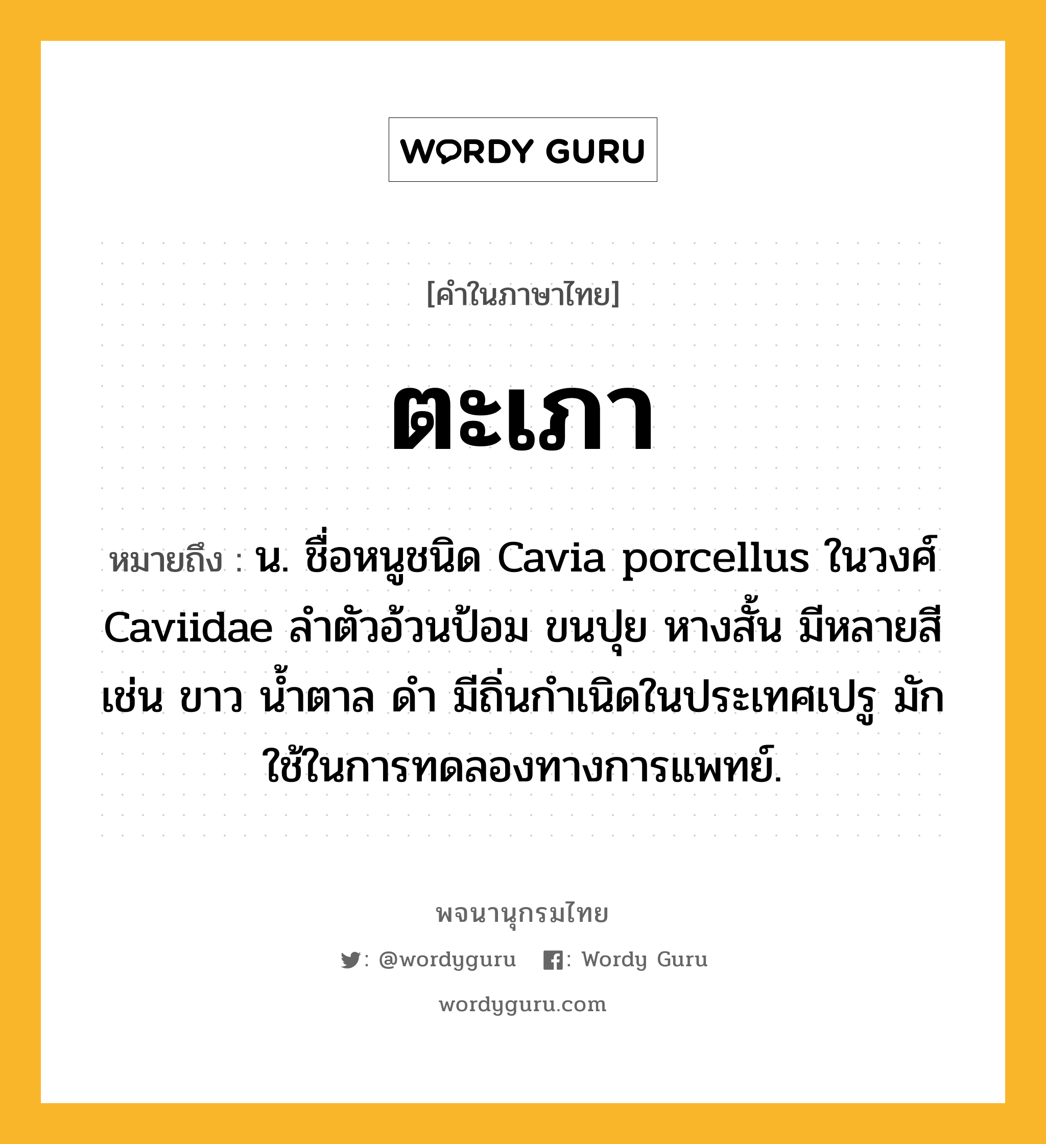 ตะเภา ความหมาย หมายถึงอะไร?, คำในภาษาไทย ตะเภา หมายถึง น. ชื่อหนูชนิด Cavia porcellus ในวงศ์ Caviidae ลำตัวอ้วนป้อม ขนปุย หางสั้น มีหลายสี เช่น ขาว นํ้าตาล ดํา มีถิ่นกําเนิดในประเทศเปรู มักใช้ในการทดลองทางการแพทย์.