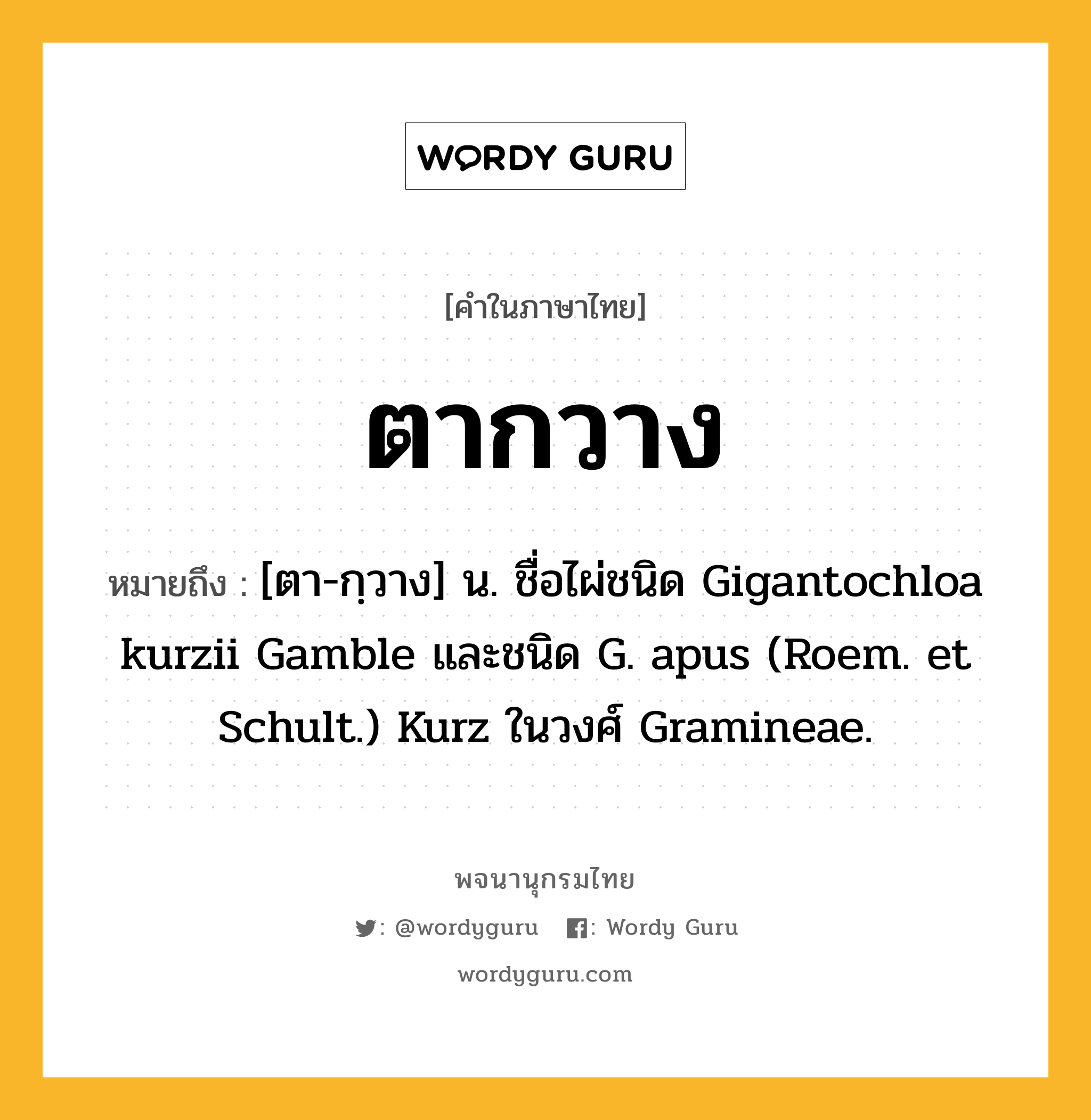 ตากวาง หมายถึงอะไร?, คำในภาษาไทย ตากวาง หมายถึง [ตา-กฺวาง] น. ชื่อไผ่ชนิด Gigantochloa kurzii Gamble และชนิด G. apus (Roem. et Schult.) Kurz ในวงศ์ Gramineae.