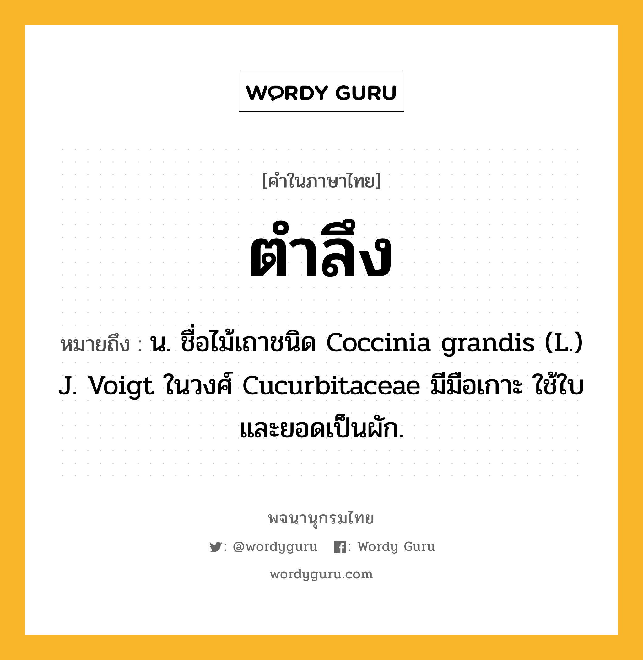 ตำลึง หมายถึงอะไร?, คำในภาษาไทย ตำลึง หมายถึง น. ชื่อไม้เถาชนิด Coccinia grandis (L.) J. Voigt ในวงศ์ Cucurbitaceae มีมือเกาะ ใช้ใบและยอดเป็นผัก.