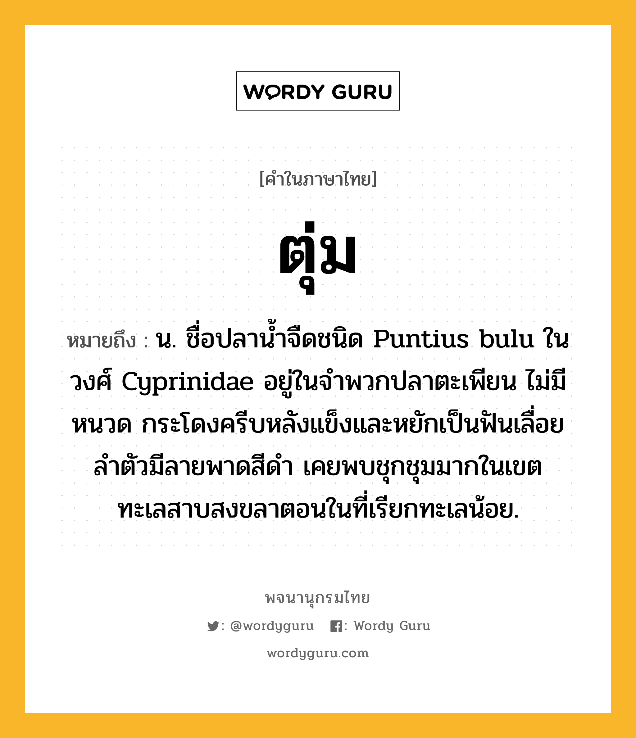 ตุ่ม ความหมาย หมายถึงอะไร?, คำในภาษาไทย ตุ่ม หมายถึง น. ชื่อปลานํ้าจืดชนิด Puntius bulu ในวงศ์ Cyprinidae อยู่ในจําพวกปลาตะเพียน ไม่มีหนวด กระโดงครีบหลังแข็งและหยักเป็นฟันเลื่อย ลําตัวมีลายพาดสีดํา เคยพบชุกชุมมากในเขตทะเลสาบสงขลาตอนในที่เรียกทะเลน้อย.