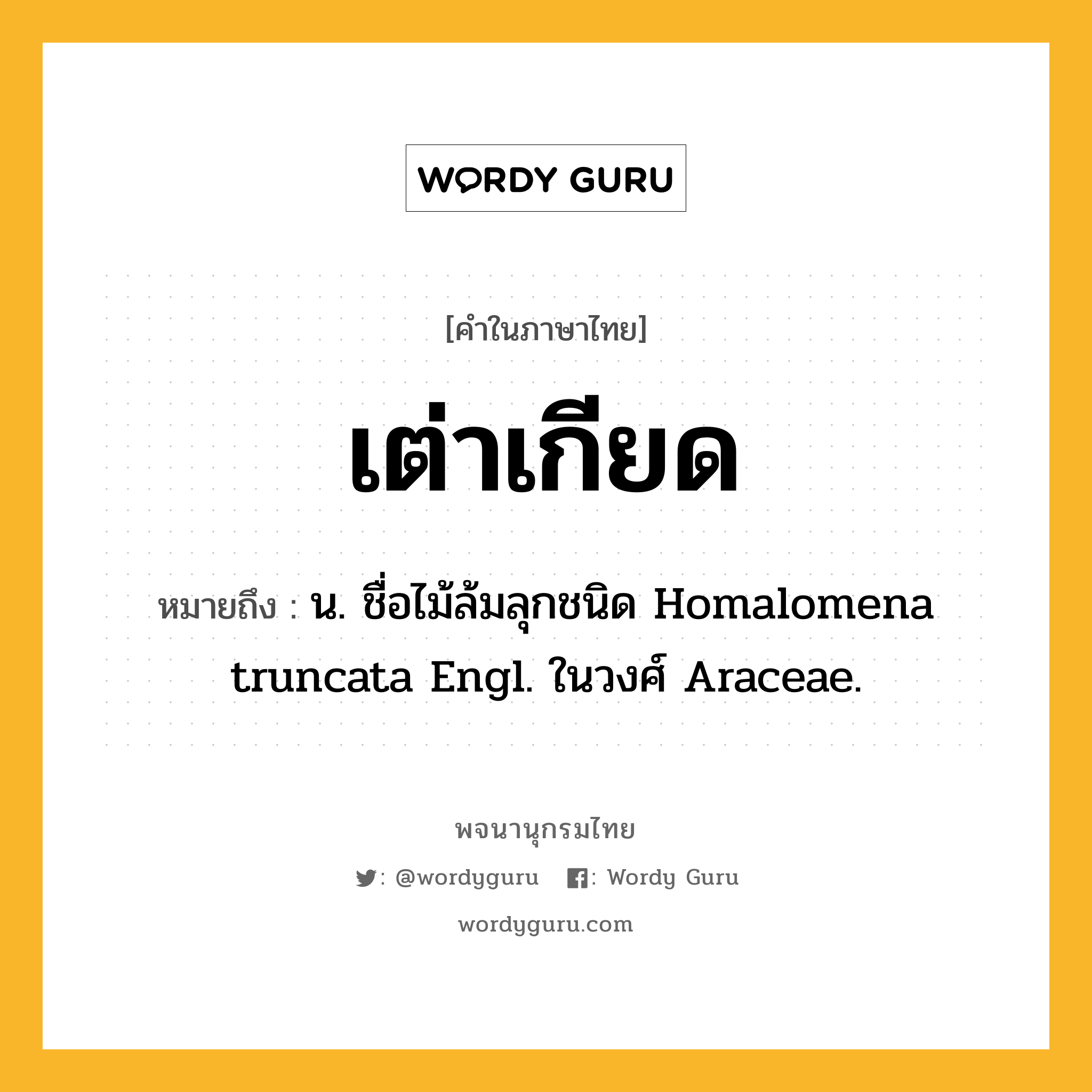 เต่าเกียด หมายถึงอะไร?, คำในภาษาไทย เต่าเกียด หมายถึง น. ชื่อไม้ล้มลุกชนิด Homalomena truncata Engl. ในวงศ์ Araceae.