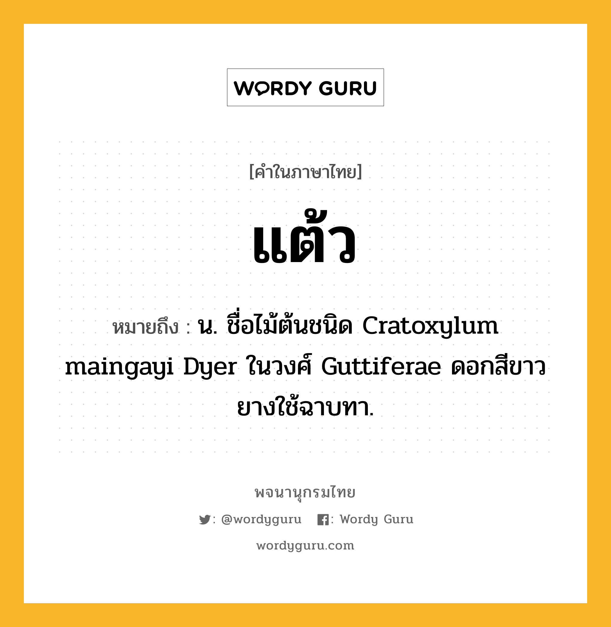 แต้ว หมายถึงอะไร?, คำในภาษาไทย แต้ว หมายถึง น. ชื่อไม้ต้นชนิด Cratoxylum maingayi Dyer ในวงศ์ Guttiferae ดอกสีขาว ยางใช้ฉาบทา.