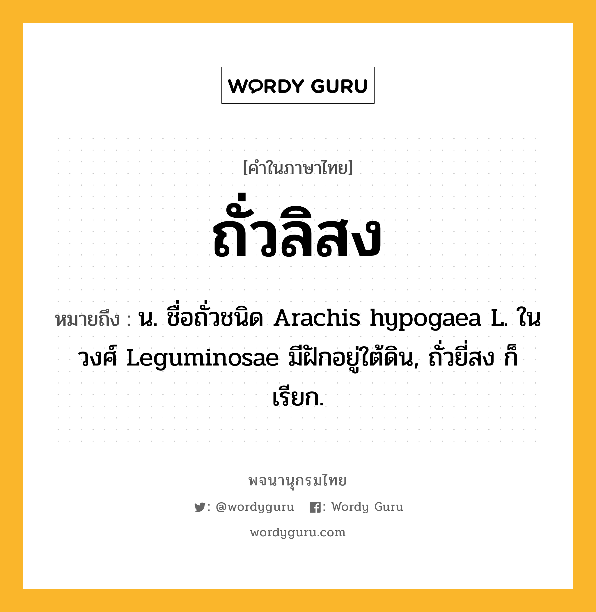 ถั่วลิสง ความหมาย หมายถึงอะไร?, คำในภาษาไทย ถั่วลิสง หมายถึง น. ชื่อถั่วชนิด Arachis hypogaea L. ในวงศ์ Leguminosae มีฝักอยู่ใต้ดิน, ถั่วยี่สง ก็เรียก.