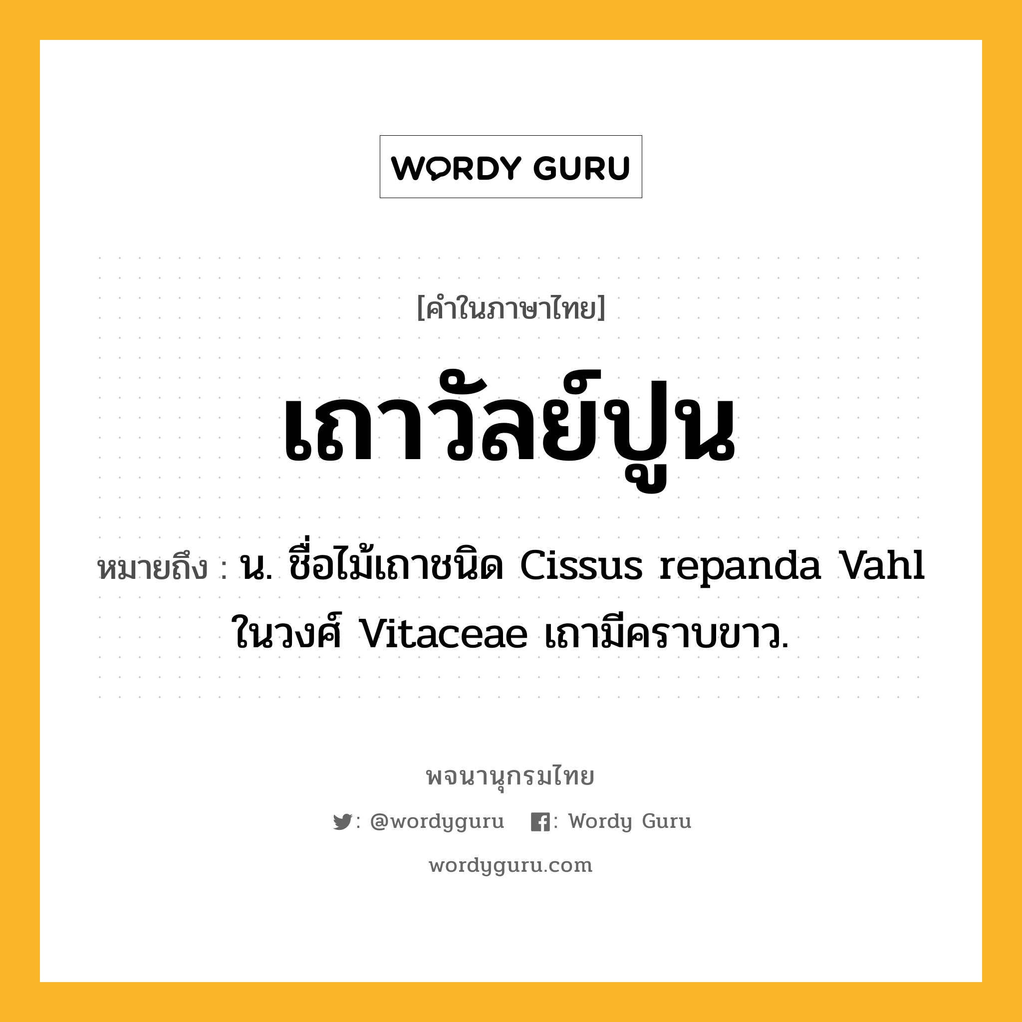 เถาวัลย์ปูน หมายถึงอะไร?, คำในภาษาไทย เถาวัลย์ปูน หมายถึง น. ชื่อไม้เถาชนิด Cissus repanda Vahl ในวงศ์ Vitaceae เถามีคราบขาว.