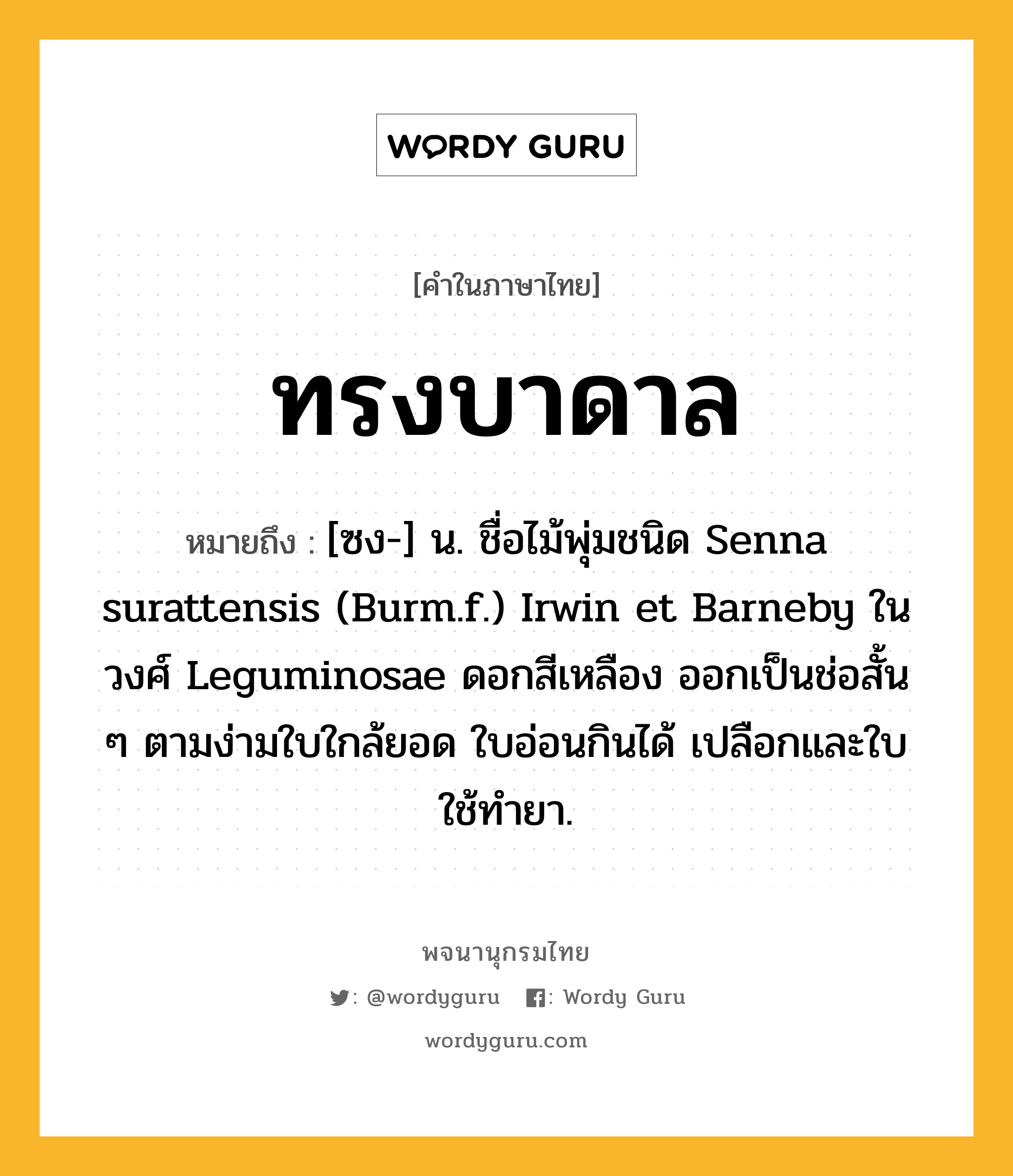ทรงบาดาล หมายถึงอะไร?, คำในภาษาไทย ทรงบาดาล หมายถึง [ซง-] น. ชื่อไม้พุ่มชนิด Senna surattensis (Burm.f.) Irwin et Barneby ในวงศ์ Leguminosae ดอกสีเหลือง ออกเป็นช่อสั้น ๆ ตามง่ามใบใกล้ยอด ใบอ่อนกินได้ เปลือกและใบใช้ทํายา.