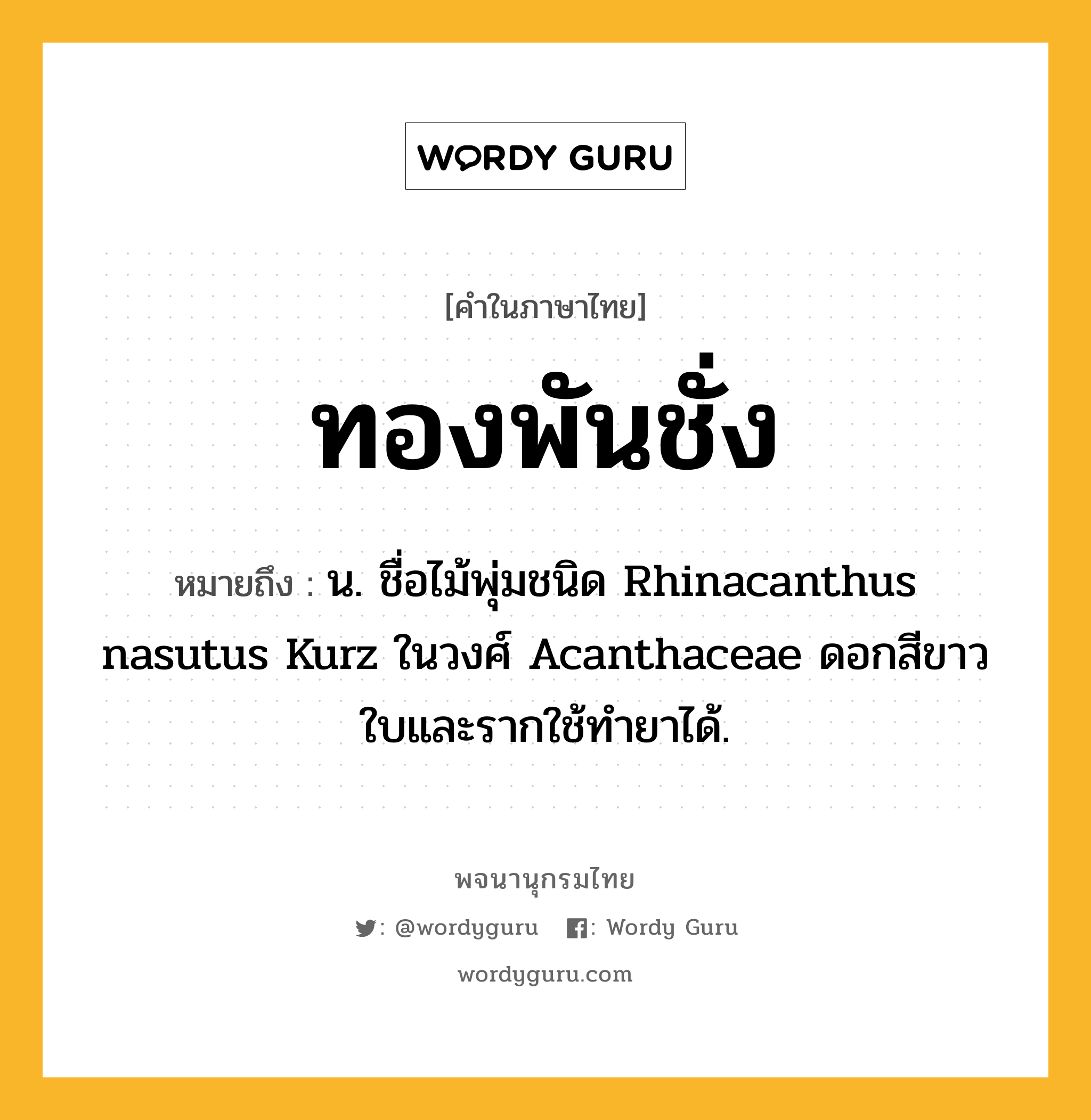 ทองพันชั่ง ความหมาย หมายถึงอะไร?, คำในภาษาไทย ทองพันชั่ง หมายถึง น. ชื่อไม้พุ่มชนิด Rhinacanthus nasutus Kurz ในวงศ์ Acanthaceae ดอกสีขาว ใบและรากใช้ทํายาได้.
