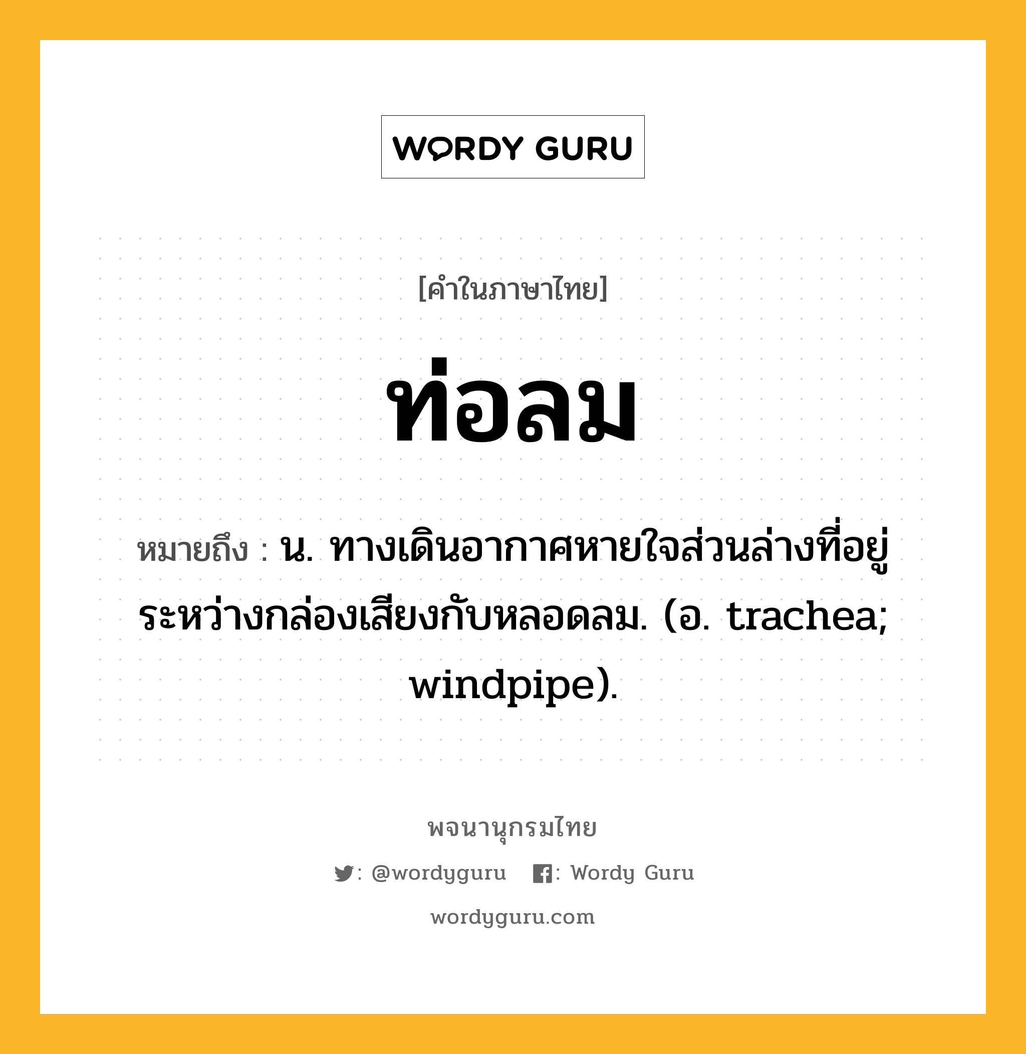 ท่อลม หมายถึงอะไร?, คำในภาษาไทย ท่อลม หมายถึง น. ทางเดินอากาศหายใจส่วนล่างที่อยู่ระหว่างกล่องเสียงกับหลอดลม. (อ. trachea; windpipe).