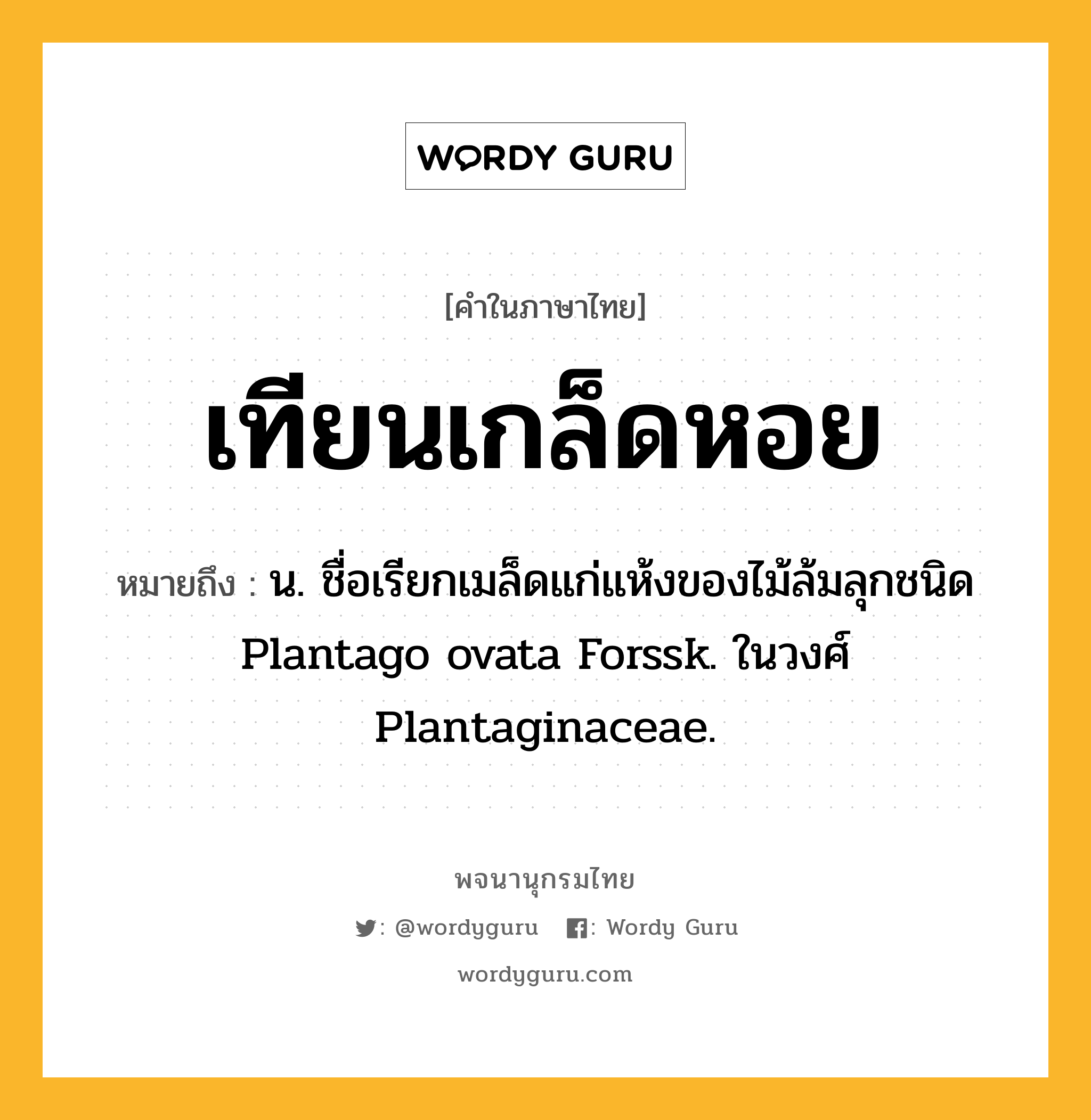 เทียนเกล็ดหอย หมายถึงอะไร?, คำในภาษาไทย เทียนเกล็ดหอย หมายถึง น. ชื่อเรียกเมล็ดแก่แห้งของไม้ล้มลุกชนิด Plantago ovata Forssk. ในวงศ์ Plantaginaceae.