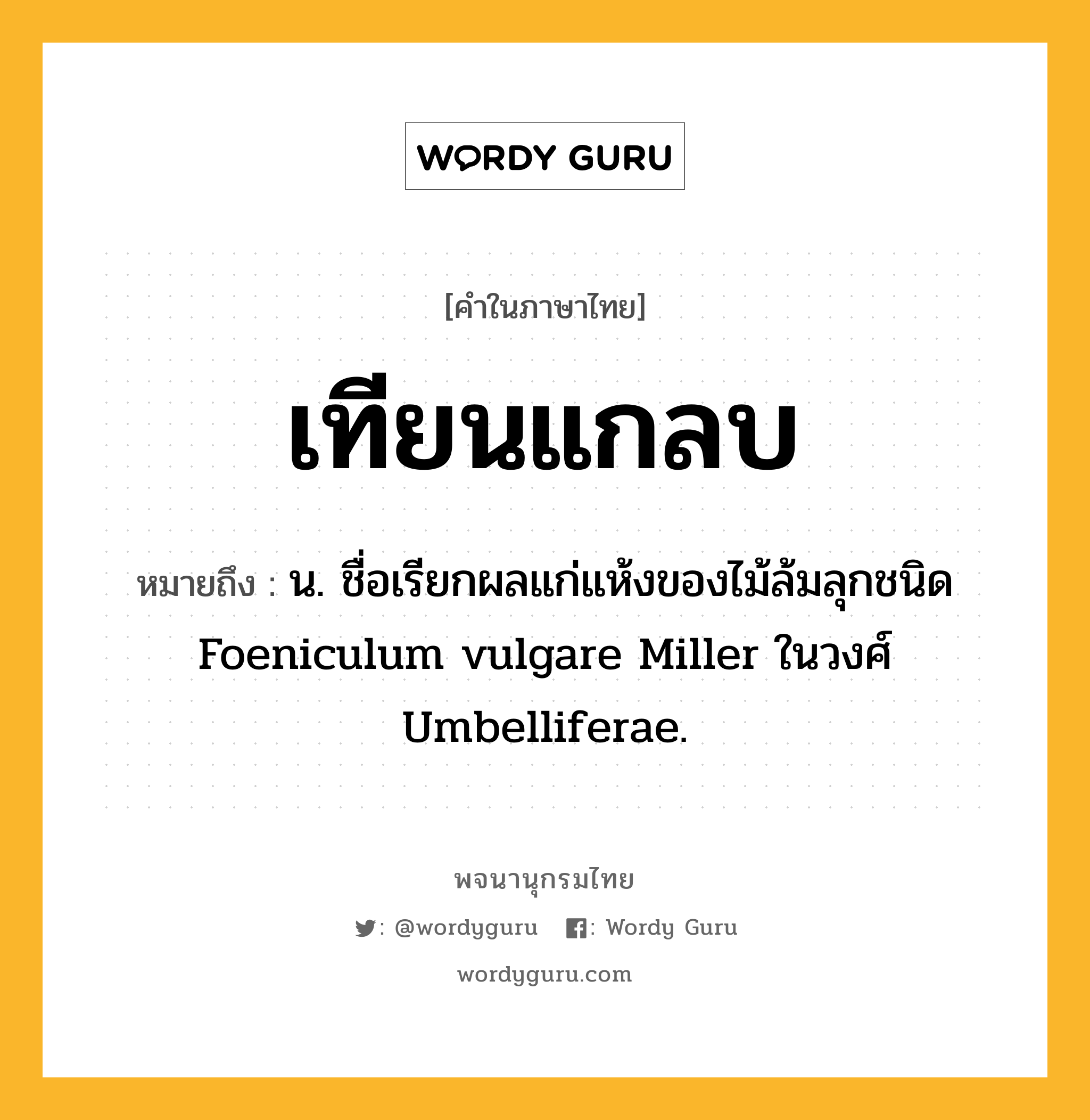 เทียนแกลบ หมายถึงอะไร?, คำในภาษาไทย เทียนแกลบ หมายถึง น. ชื่อเรียกผลแก่แห้งของไม้ล้มลุกชนิด Foeniculum vulgare Miller ในวงศ์ Umbelliferae.