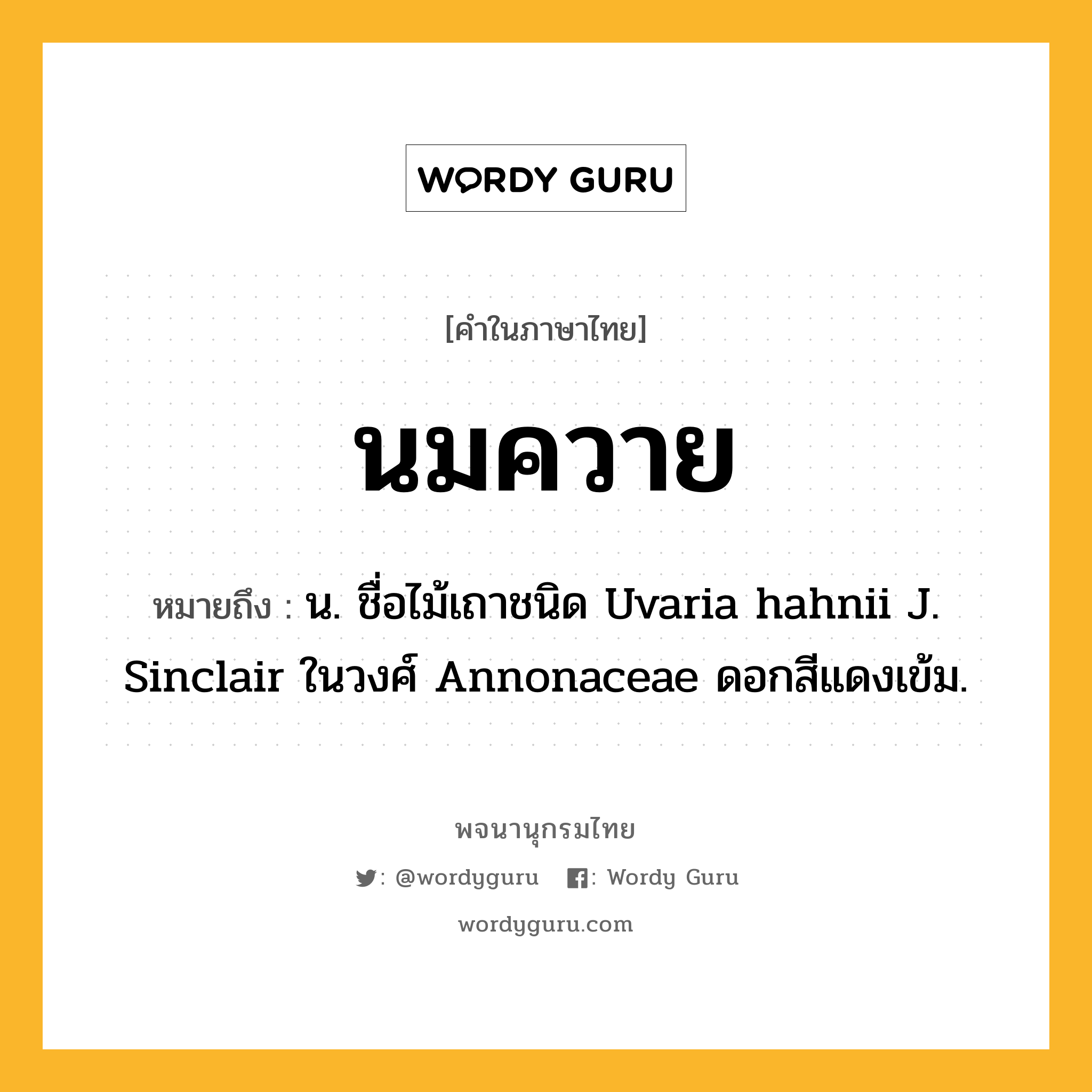นมควาย หมายถึงอะไร?, คำในภาษาไทย นมควาย หมายถึง น. ชื่อไม้เถาชนิด Uvaria hahnii J. Sinclair ในวงศ์ Annonaceae ดอกสีแดงเข้ม.