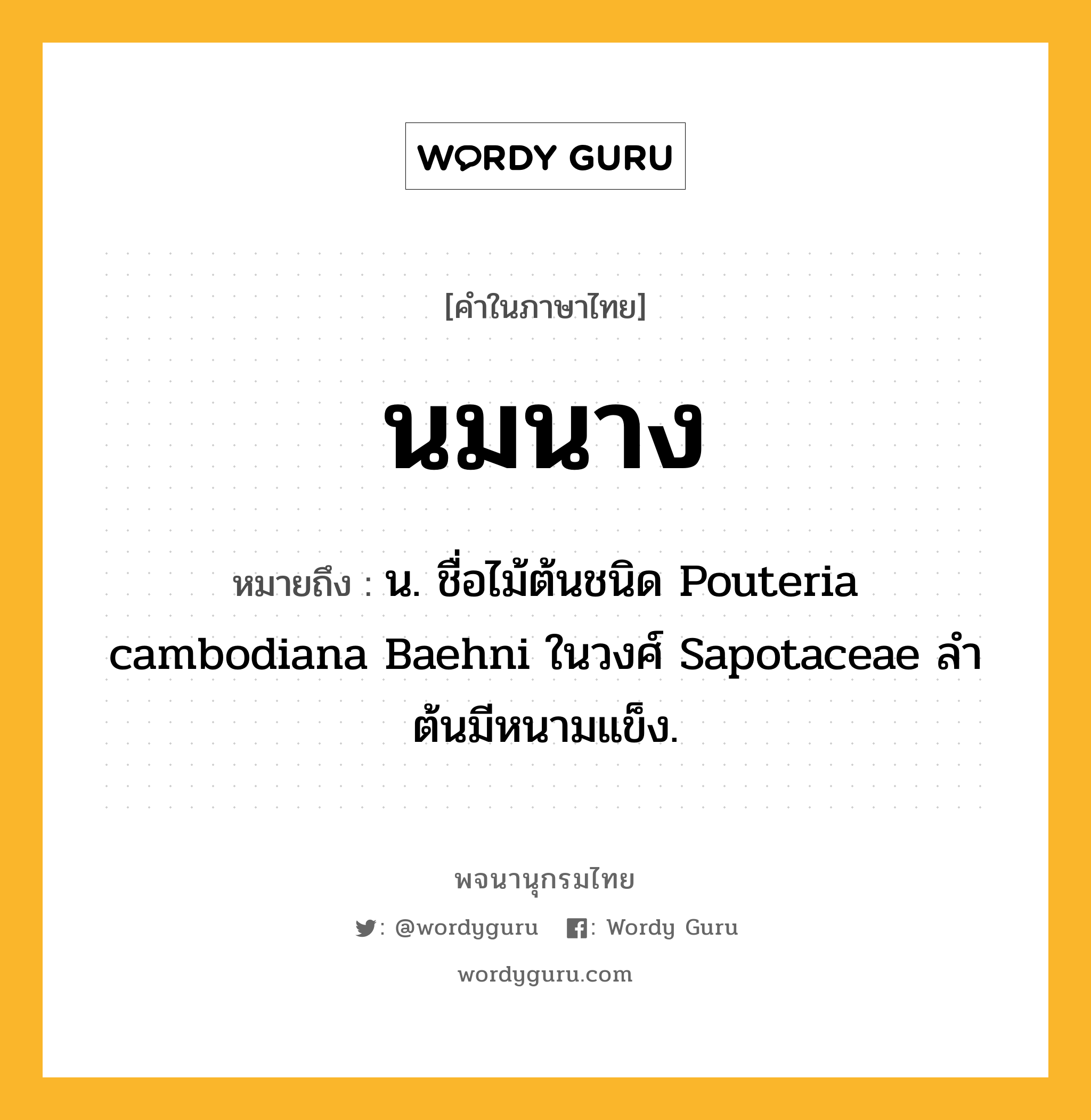 นมนาง ความหมาย หมายถึงอะไร?, คำในภาษาไทย นมนาง หมายถึง น. ชื่อไม้ต้นชนิด Pouteria cambodiana Baehni ในวงศ์ Sapotaceae ลําต้นมีหนามแข็ง.