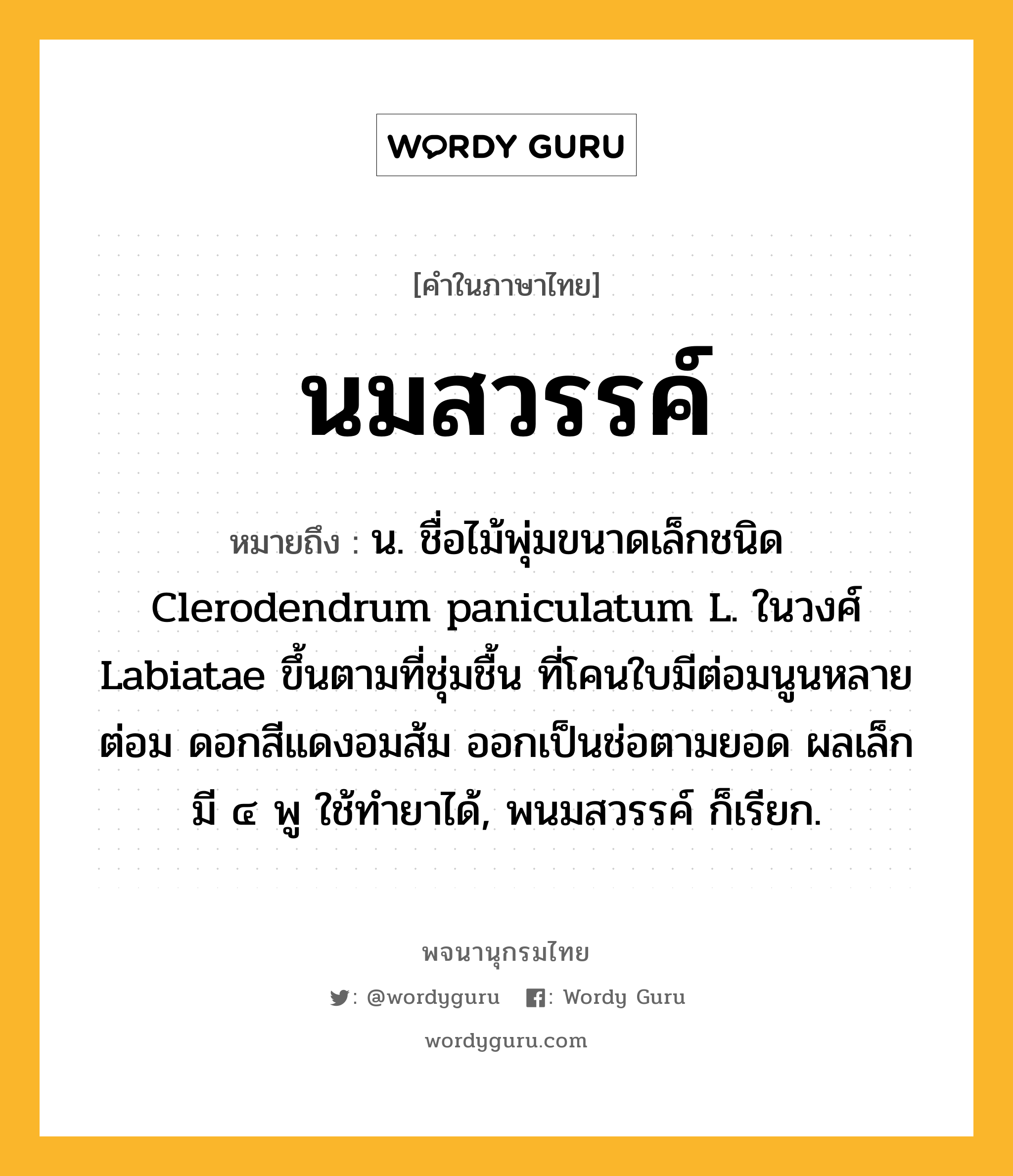 นมสวรรค์ ความหมาย หมายถึงอะไร?, คำในภาษาไทย นมสวรรค์ หมายถึง น. ชื่อไม้พุ่มขนาดเล็กชนิด Clerodendrum paniculatum L. ในวงศ์ Labiatae ขึ้นตามที่ชุ่มชื้น ที่โคนใบมีต่อมนูนหลายต่อม ดอกสีแดงอมส้ม ออกเป็นช่อตามยอด ผลเล็ก มี ๔ พู ใช้ทํายาได้, พนมสวรรค์ ก็เรียก.