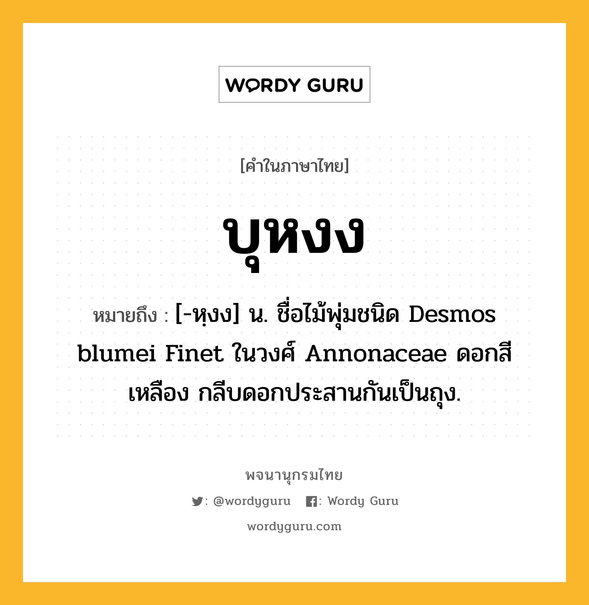 บุหงง หมายถึงอะไร?, คำในภาษาไทย บุหงง หมายถึง [-หฺงง] น. ชื่อไม้พุ่มชนิด Desmos blumei Finet ในวงศ์ Annonaceae ดอกสีเหลือง กลีบดอกประสานกันเป็นถุง.