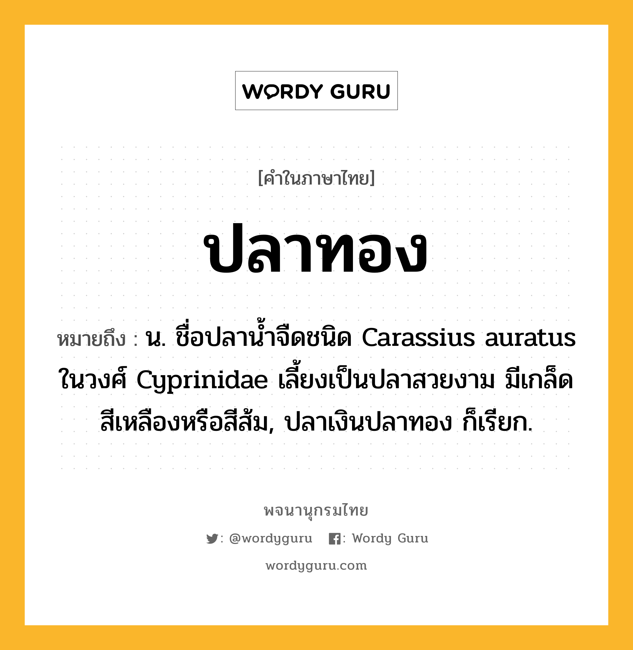ปลาทอง ความหมาย หมายถึงอะไร?, คำในภาษาไทย ปลาทอง หมายถึง น. ชื่อปลาน้ำจืดชนิด Carassius auratus ในวงศ์ Cyprinidae เลี้ยงเป็นปลาสวยงาม มีเกล็ดสีเหลืองหรือสีส้ม, ปลาเงินปลาทอง ก็เรียก.
