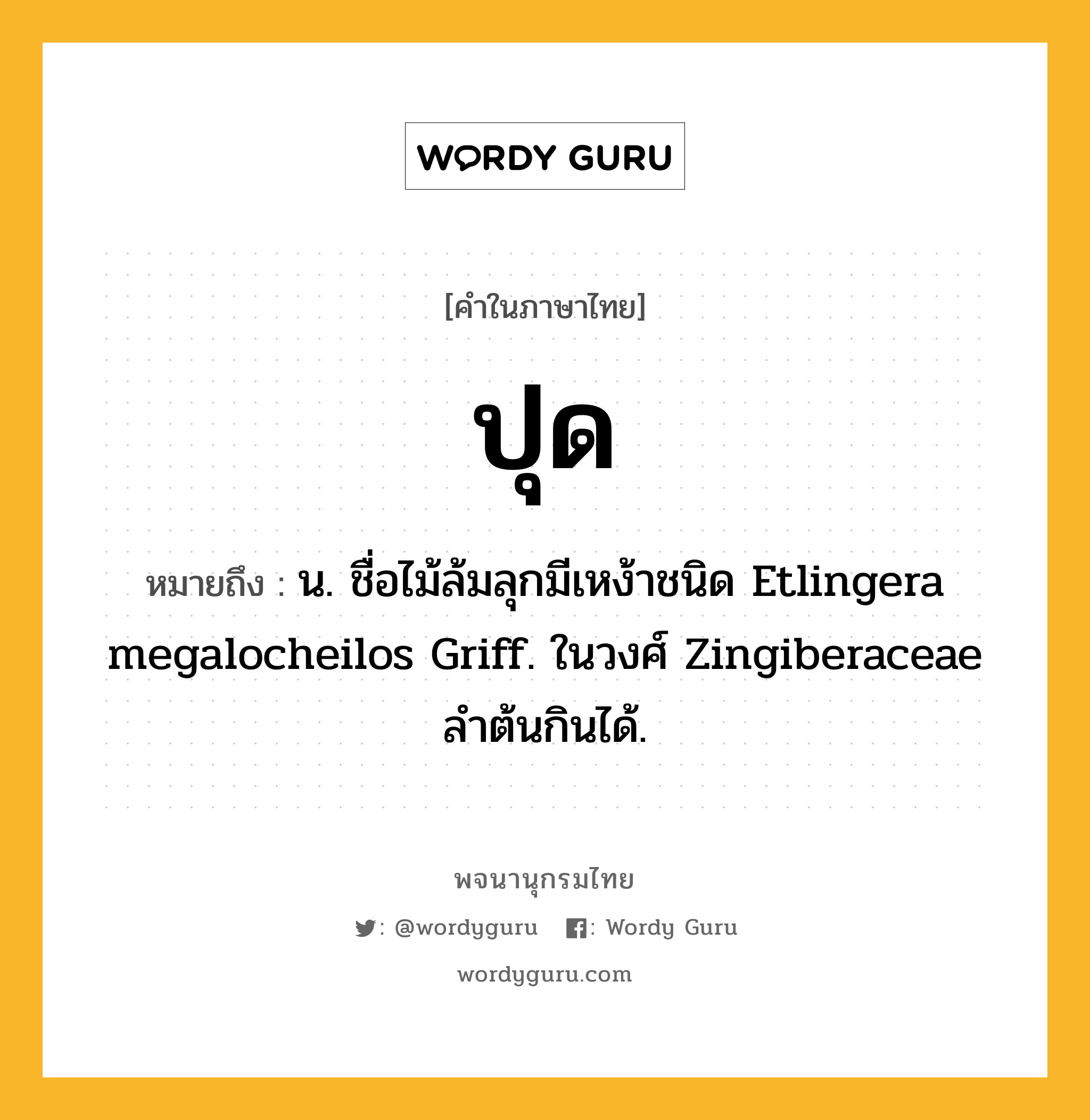 ปุด หมายถึงอะไร?, คำในภาษาไทย ปุด หมายถึง น. ชื่อไม้ล้มลุกมีเหง้าชนิด Etlingera megalocheilos Griff. ในวงศ์ Zingiberaceae ลําต้นกินได้.
