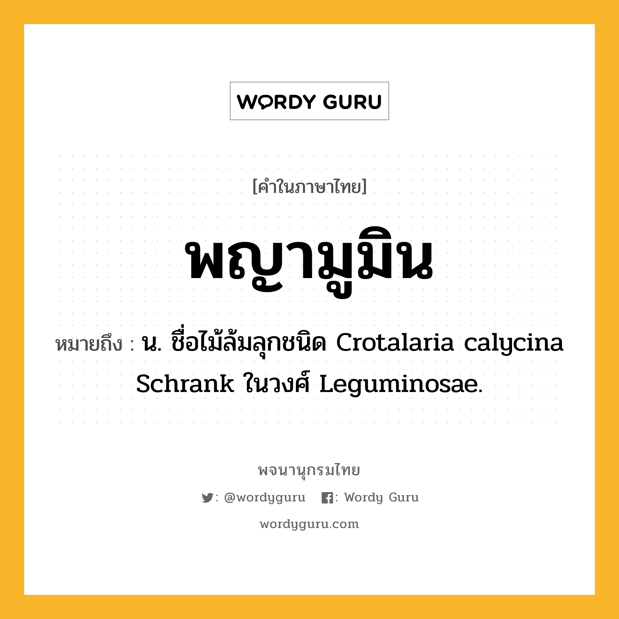 พญามูมิน ความหมาย หมายถึงอะไร?, คำในภาษาไทย พญามูมิน หมายถึง น. ชื่อไม้ล้มลุกชนิด Crotalaria calycina Schrank ในวงศ์ Leguminosae.
