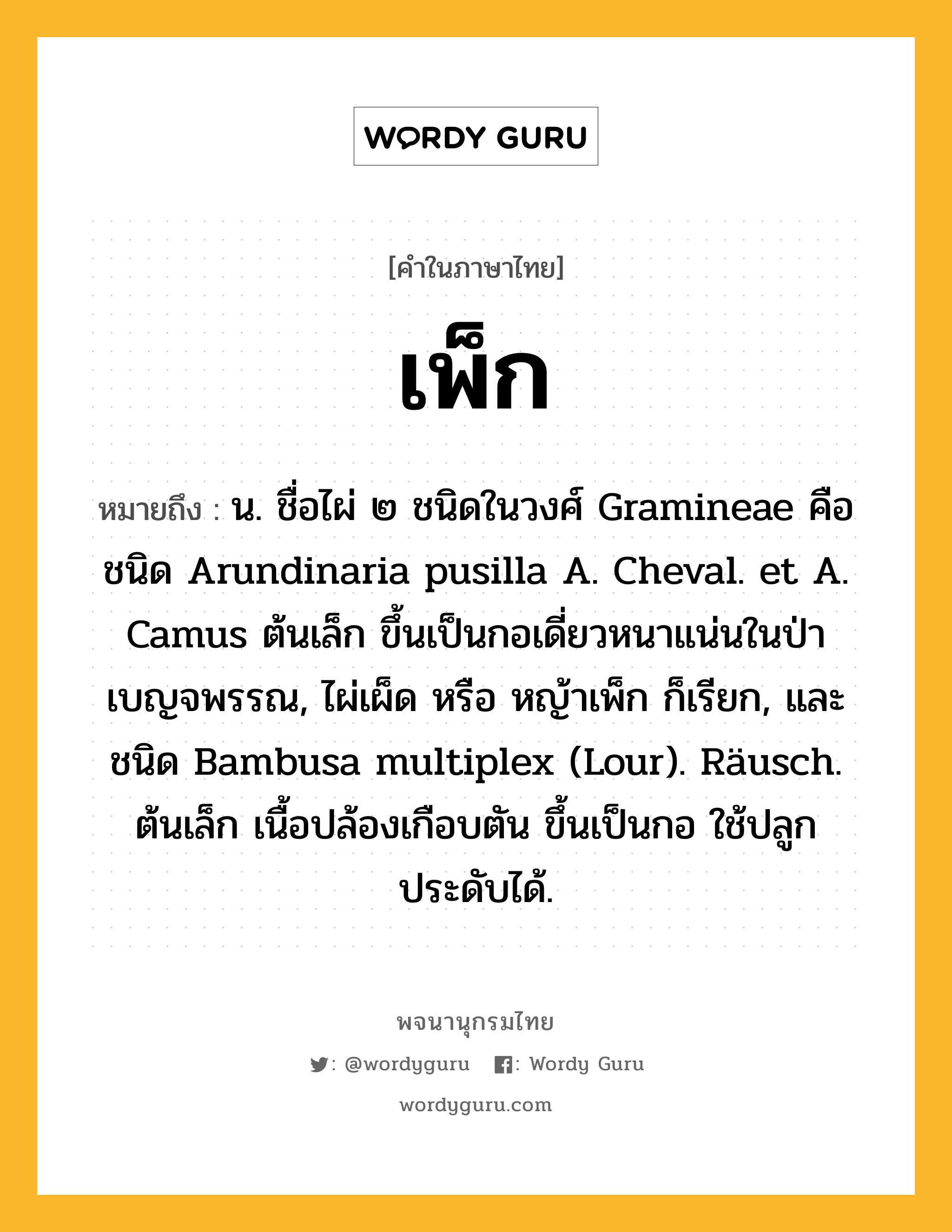 เพ็ก หมายถึงอะไร?, คำในภาษาไทย เพ็ก หมายถึง น. ชื่อไผ่ ๒ ชนิดในวงศ์ Gramineae คือ ชนิด Arundinaria pusilla A. Cheval. et A. Camus ต้นเล็ก ขึ้นเป็นกอเดี่ยวหนาแน่นในป่าเบญจพรรณ, ไผ่เผ็ด หรือ หญ้าเพ็ก ก็เรียก, และชนิด Bambusa multiplex (Lour). Räusch. ต้นเล็ก เนื้อปล้องเกือบตัน ขึ้นเป็นกอ ใช้ปลูกประดับได้.