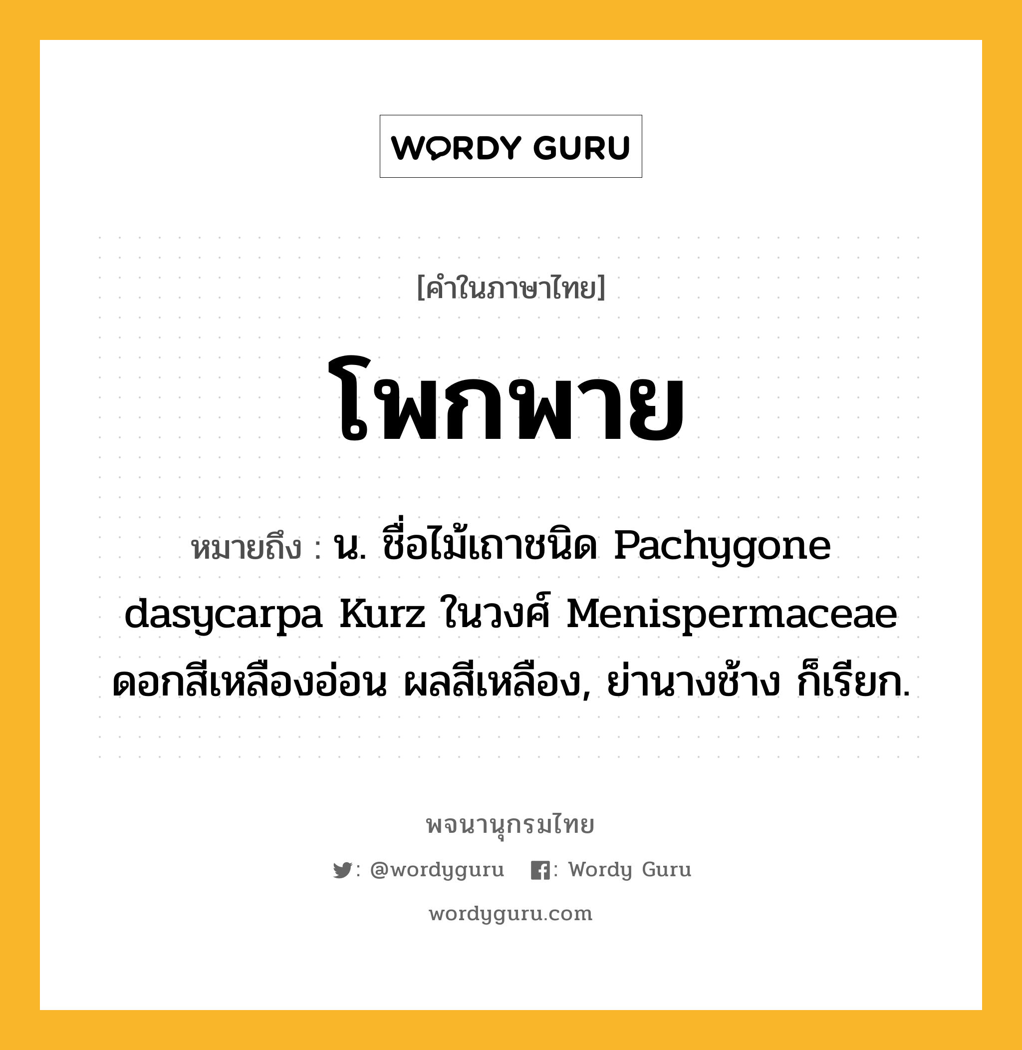 โพกพาย หมายถึงอะไร?, คำในภาษาไทย โพกพาย หมายถึง น. ชื่อไม้เถาชนิด Pachygone dasycarpa Kurz ในวงศ์ Menispermaceae ดอกสีเหลืองอ่อน ผลสีเหลือง, ย่านางช้าง ก็เรียก.
