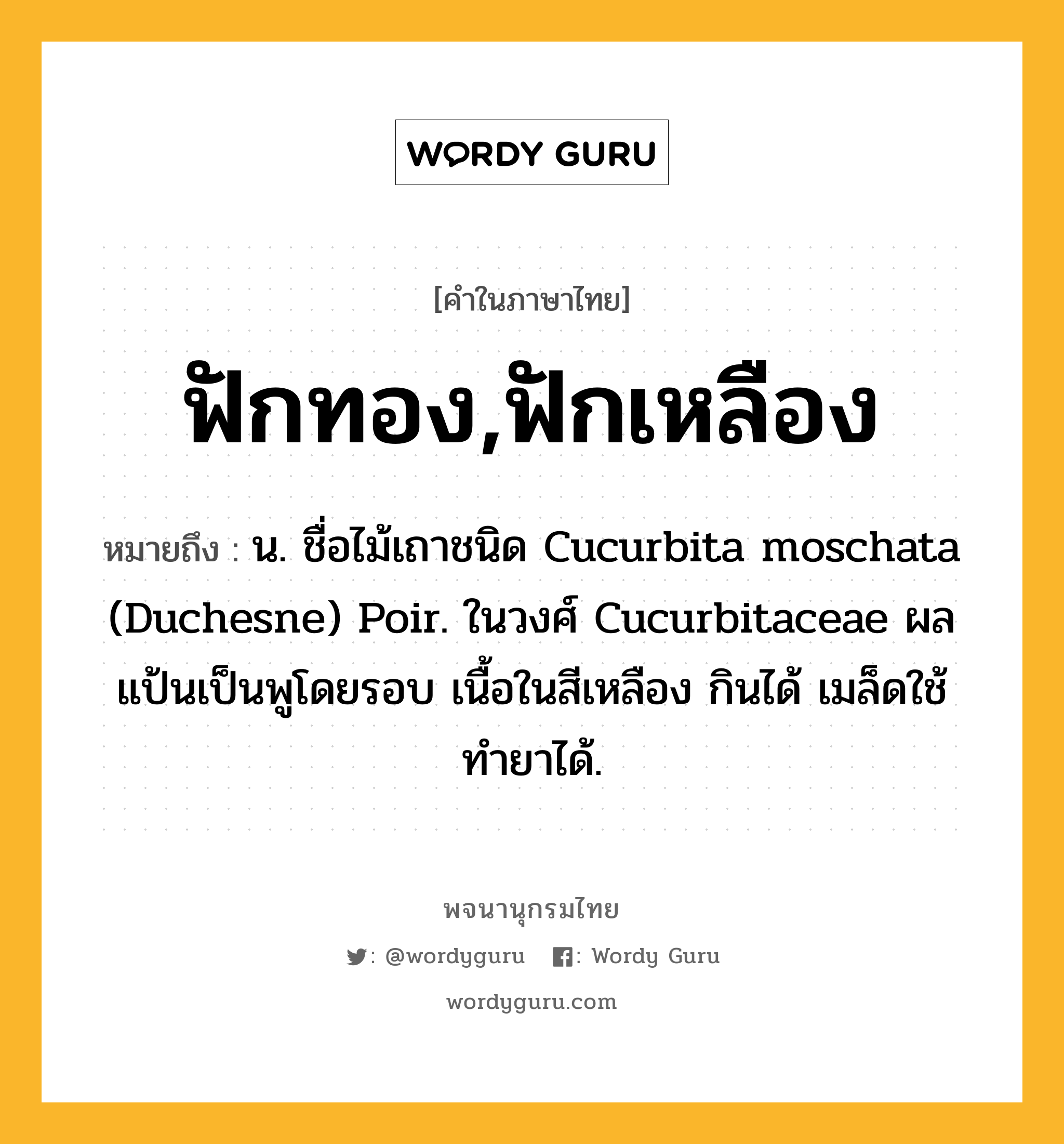 ฟักทอง,ฟักเหลือง หมายถึงอะไร?, คำในภาษาไทย ฟักทอง,ฟักเหลือง หมายถึง น. ชื่อไม้เถาชนิด Cucurbita moschata (Duchesne) Poir. ในวงศ์ Cucurbitaceae ผลแป้นเป็นพูโดยรอบ เนื้อในสีเหลือง กินได้ เมล็ดใช้ทํายาได้.