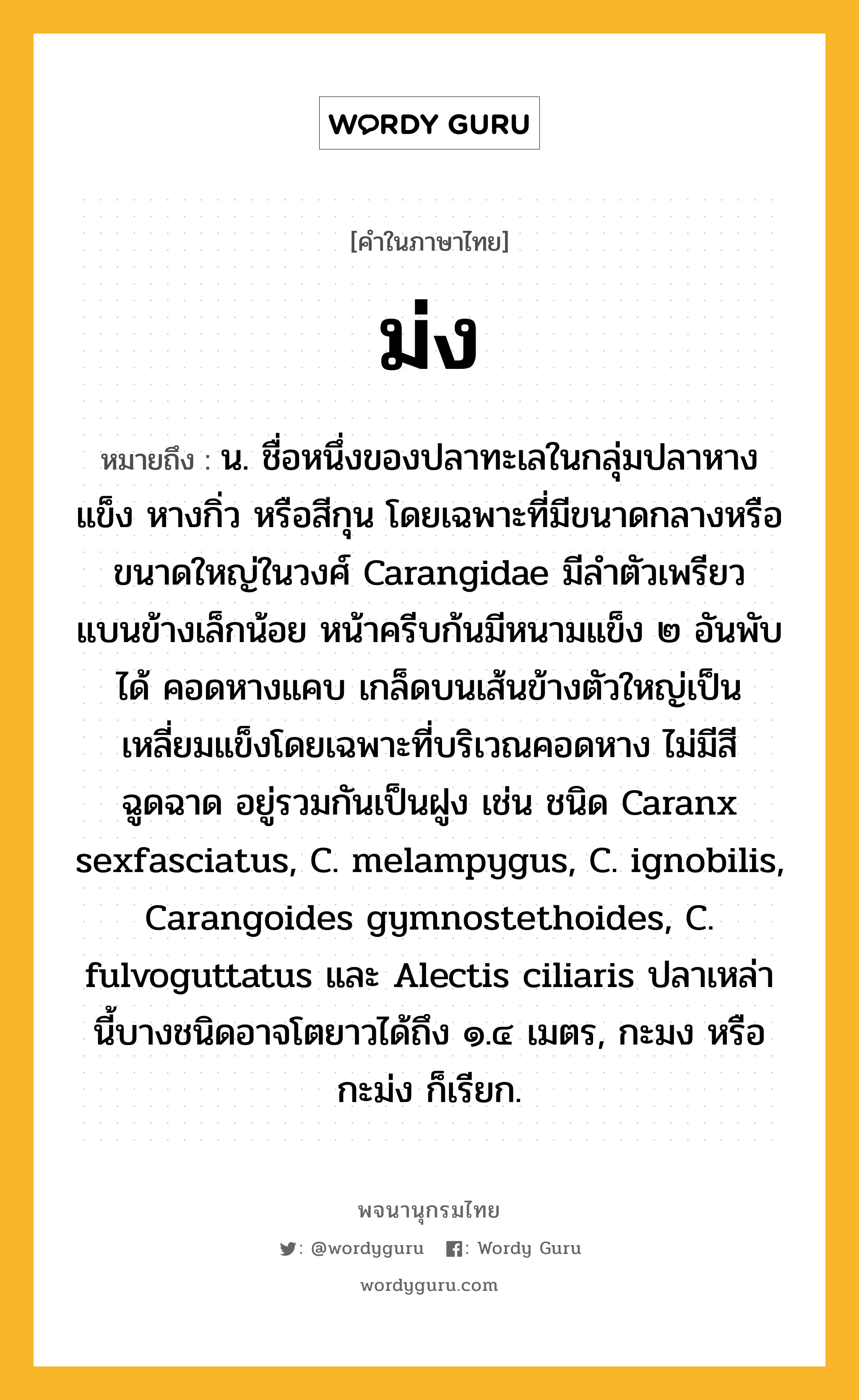 ม่ง ความหมาย หมายถึงอะไร?, คำในภาษาไทย ม่ง หมายถึง น. ชื่อหนึ่งของปลาทะเลในกลุ่มปลาหางแข็ง หางกิ่ว หรือสีกุน โดยเฉพาะที่มีขนาดกลางหรือขนาดใหญ่ในวงศ์ Carangidae มีลําตัวเพรียว แบนข้างเล็กน้อย หน้าครีบก้นมีหนามแข็ง ๒ อันพับได้ คอดหางแคบ เกล็ดบนเส้นข้างตัวใหญ่เป็นเหลี่ยมแข็งโดยเฉพาะที่บริเวณคอดหาง ไม่มีสีฉูดฉาด อยู่รวมกันเป็นฝูง เช่น ชนิด Caranx sexfasciatus, C. melampygus, C. ignobilis, Carangoides gymnostethoides, C. fulvoguttatus และ Alectis ciliaris ปลาเหล่านี้บางชนิดอาจโตยาวได้ถึง ๑.๔ เมตร, กะมง หรือ กะม่ง ก็เรียก.