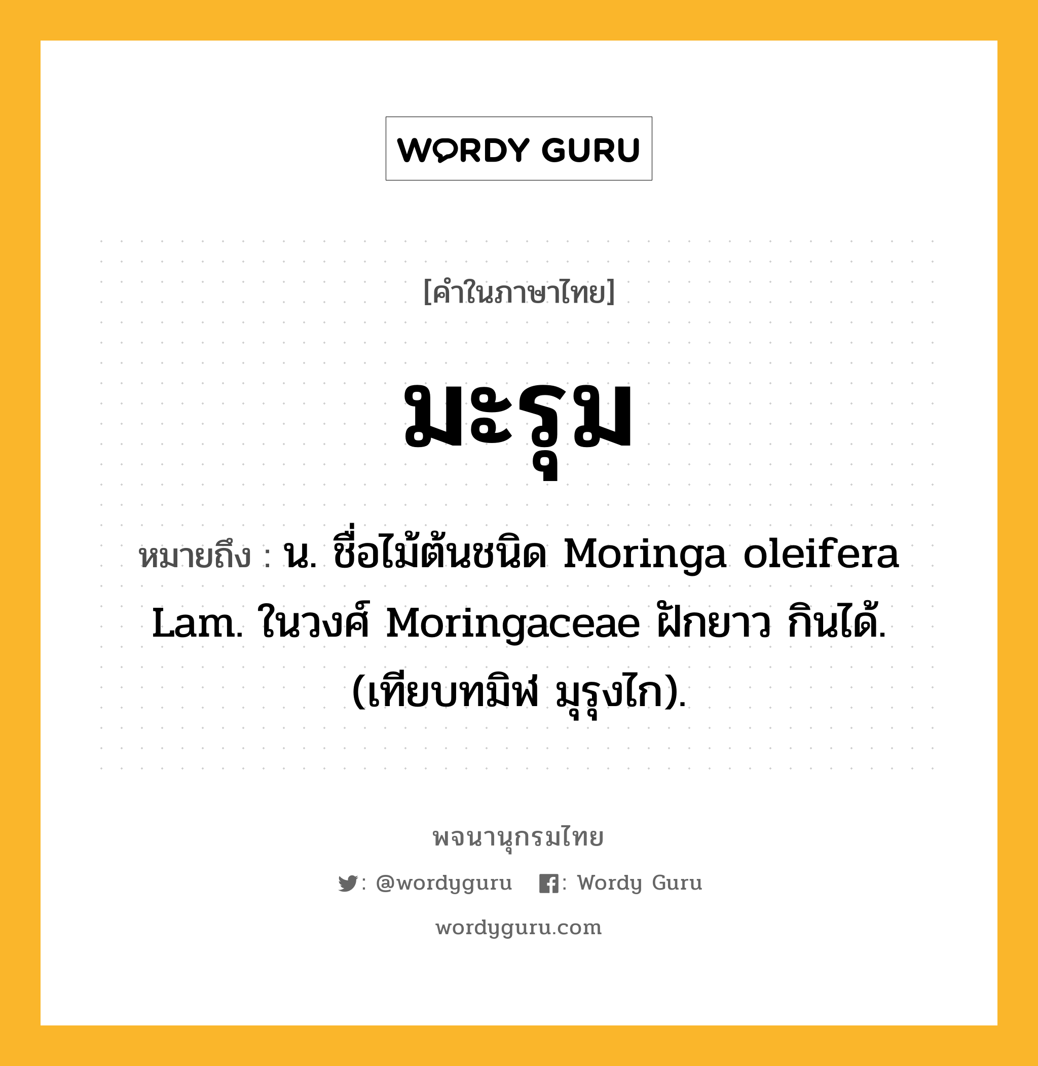 มะรุม ความหมาย หมายถึงอะไร?, คำในภาษาไทย มะรุม หมายถึง น. ชื่อไม้ต้นชนิด Moringa oleifera Lam. ในวงศ์ Moringaceae ฝักยาว กินได้. (เทียบทมิฬ มุรุงไก).