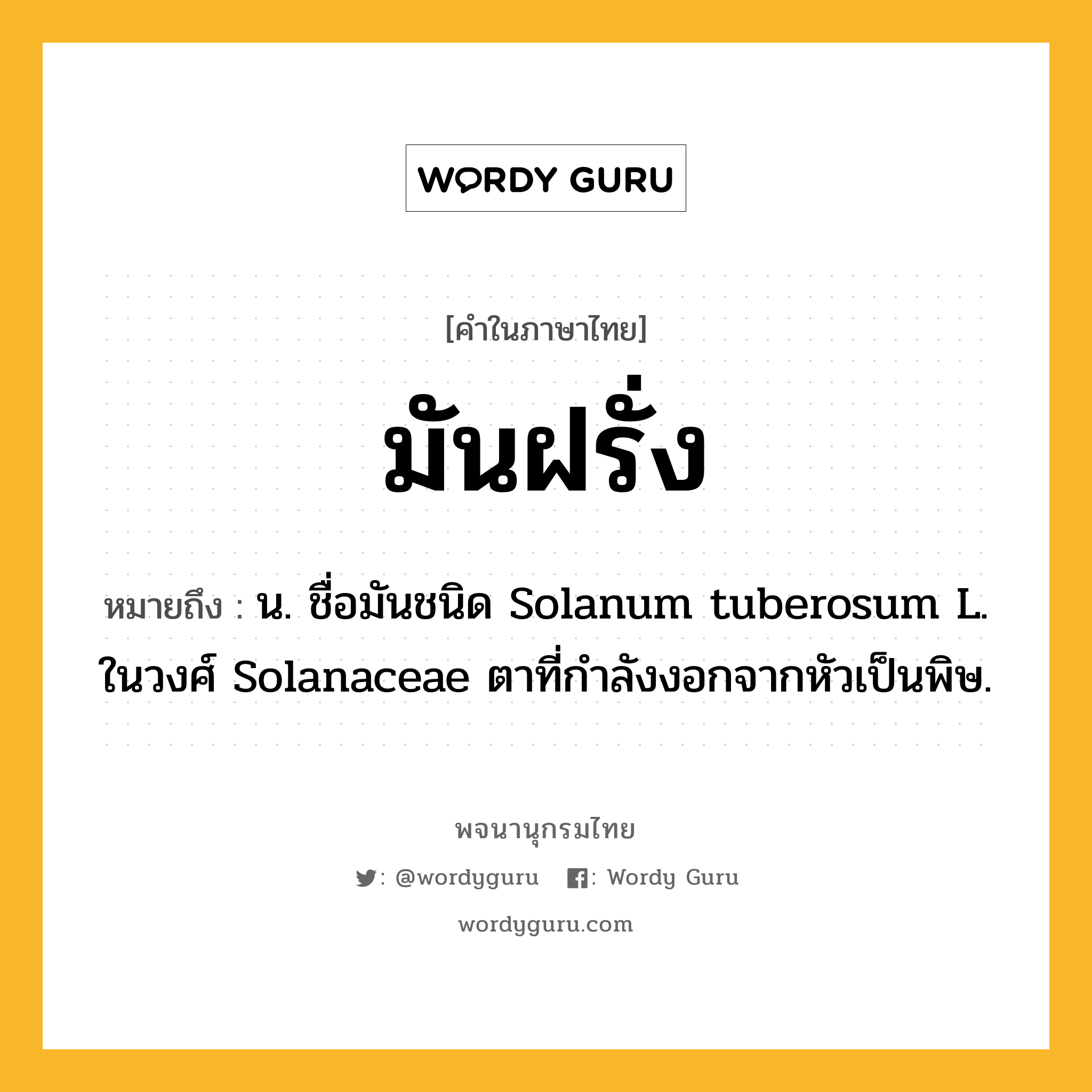 มันฝรั่ง หมายถึงอะไร?, คำในภาษาไทย มันฝรั่ง หมายถึง น. ชื่อมันชนิด Solanum tuberosum L. ในวงศ์ Solanaceae ตาที่กําลังงอกจากหัวเป็นพิษ.