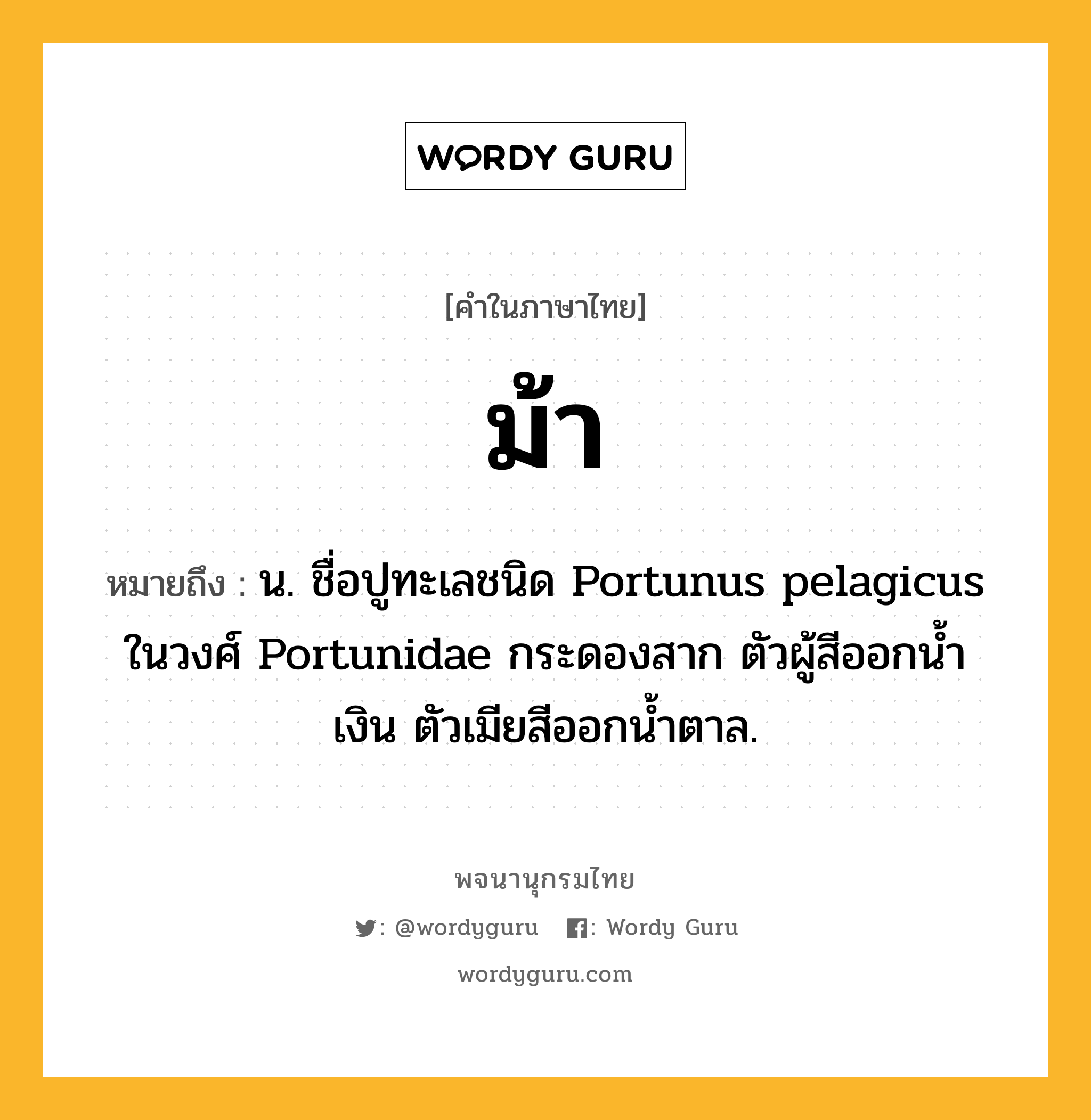 ม้า หมายถึงอะไร?, คำในภาษาไทย ม้า หมายถึง น. ชื่อปูทะเลชนิด Portunus pelagicus ในวงศ์ Portunidae กระดองสาก ตัวผู้สีออกนํ้าเงิน ตัวเมียสีออกนํ้าตาล.