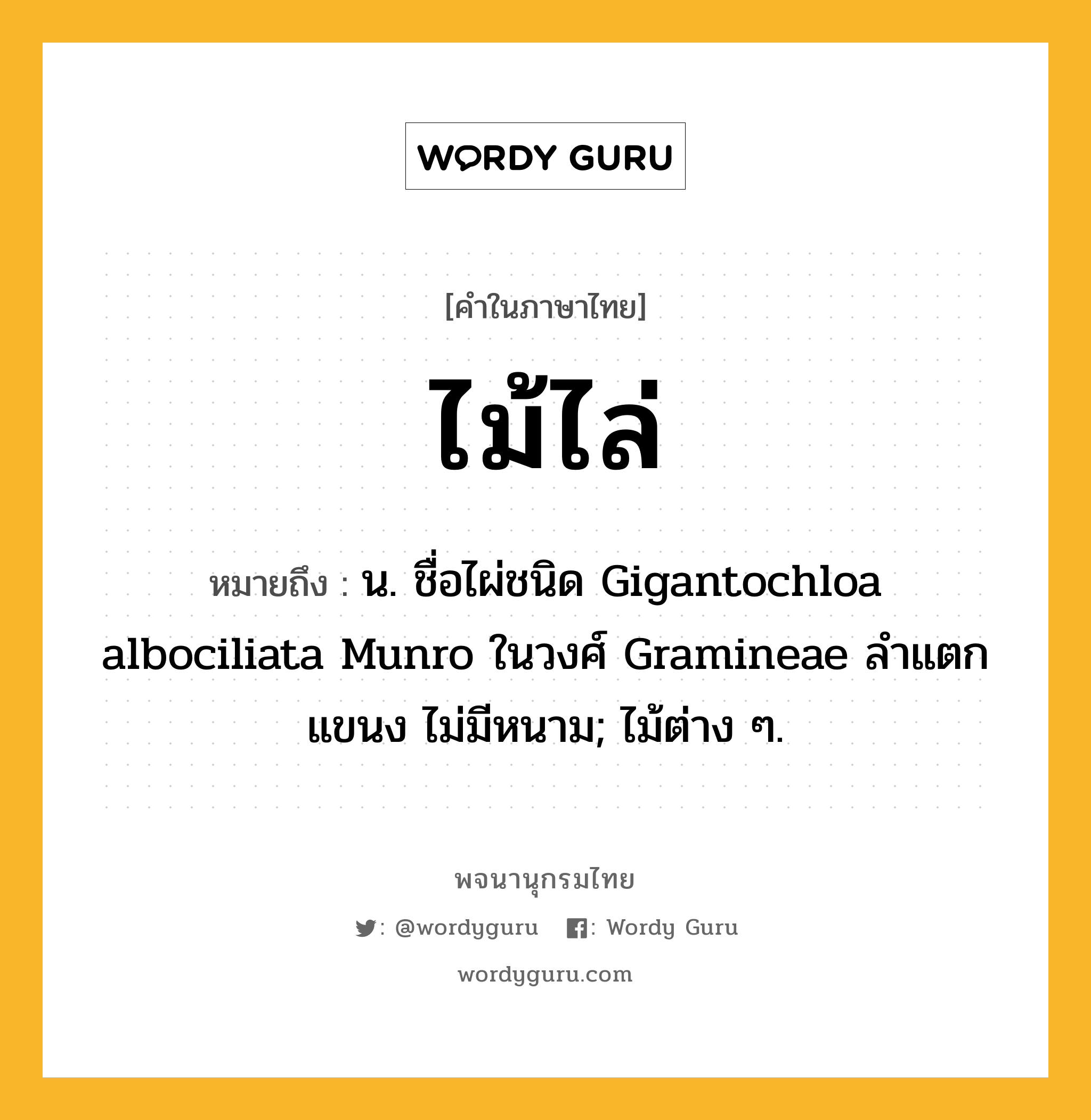 ไม้ไล่ หมายถึงอะไร?, คำในภาษาไทย ไม้ไล่ หมายถึง น. ชื่อไผ่ชนิด Gigantochloa albociliata Munro ในวงศ์ Gramineae ลําแตกแขนง ไม่มีหนาม; ไม้ต่าง ๆ.