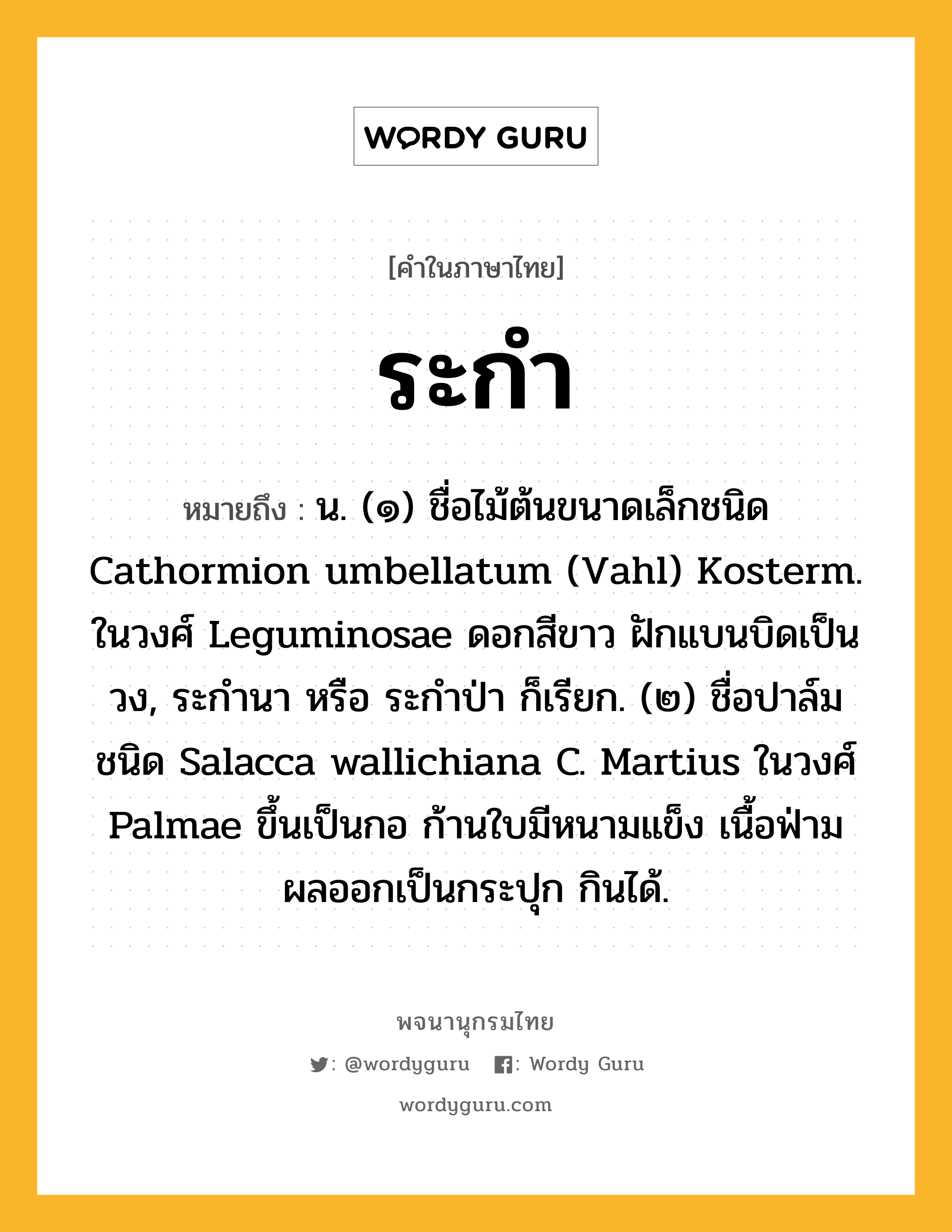 ระกำ ความหมาย หมายถึงอะไร?, คำในภาษาไทย ระกำ หมายถึง น. (๑) ชื่อไม้ต้นขนาดเล็กชนิด Cathormion umbellatum (Vahl) Kosterm. ในวงศ์ Leguminosae ดอกสีขาว ฝักแบนบิดเป็นวง, ระกํานา หรือ ระกําป่า ก็เรียก. (๒) ชื่อปาล์มชนิด Salacca wallichiana C. Martius ในวงศ์ Palmae ขึ้นเป็นกอ ก้านใบมีหนามแข็ง เนื้อฟ่าม ผลออกเป็นกระปุก กินได้.
