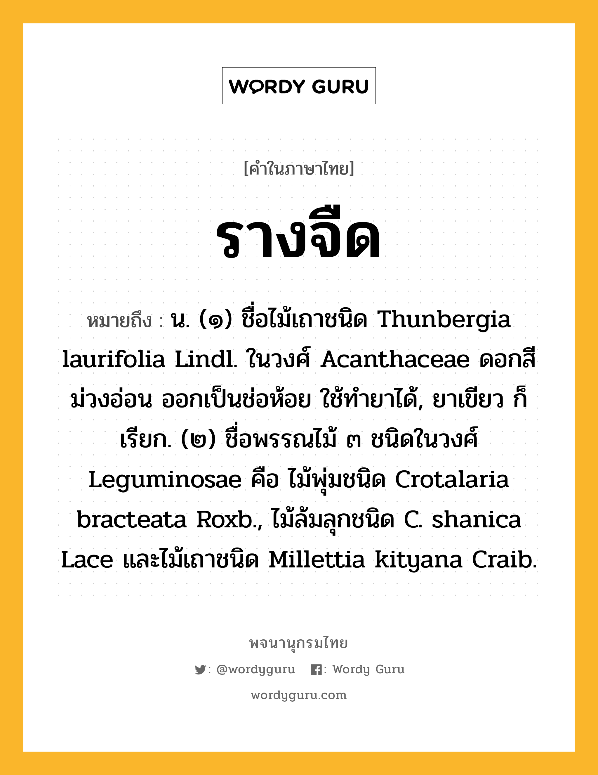 รางจืด ความหมาย หมายถึงอะไร?, คำในภาษาไทย รางจืด หมายถึง น. (๑) ชื่อไม้เถาชนิด Thunbergia laurifolia Lindl. ในวงศ์ Acanthaceae ดอกสีม่วงอ่อน ออกเป็นช่อห้อย ใช้ทํายาได้, ยาเขียว ก็เรียก. (๒) ชื่อพรรณไม้ ๓ ชนิดในวงศ์ Leguminosae คือ ไม้พุ่มชนิด Crotalaria bracteata Roxb., ไม้ล้มลุกชนิด C. shanica Lace และไม้เถาชนิด Millettia kityana Craib.