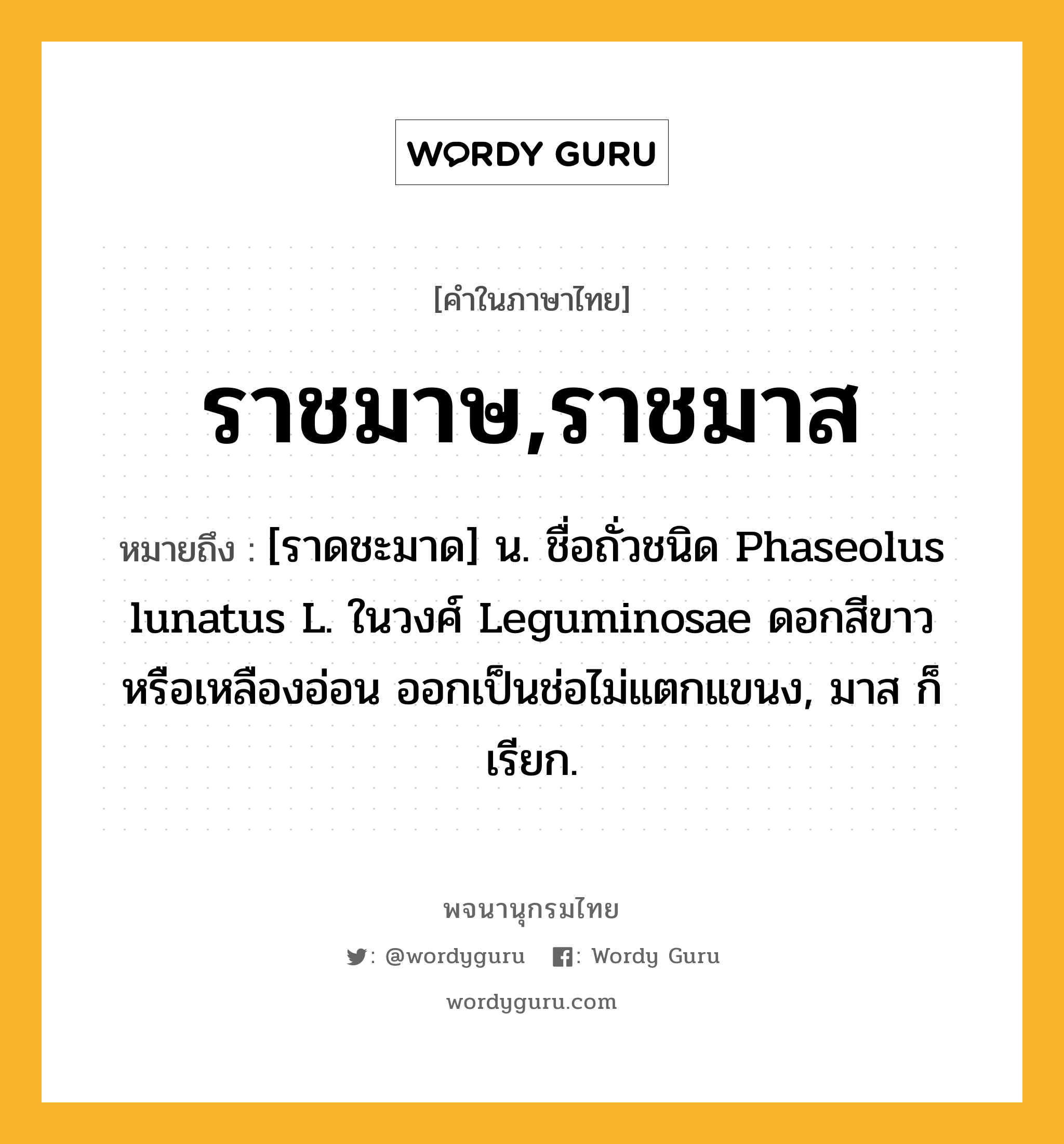 ราชมาษ,ราชมาส หมายถึงอะไร?, คำในภาษาไทย ราชมาษ,ราชมาส หมายถึง [ราดชะมาด] น. ชื่อถั่วชนิด Phaseolus lunatus L. ในวงศ์ Leguminosae ดอกสีขาวหรือเหลืองอ่อน ออกเป็นช่อไม่แตกแขนง, มาส ก็เรียก.