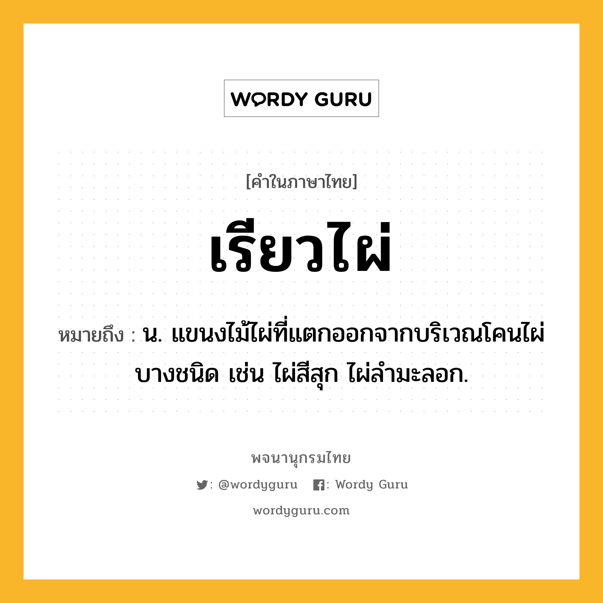 เรียวไผ่ ความหมาย หมายถึงอะไร?, คำในภาษาไทย เรียวไผ่ หมายถึง น. แขนงไม้ไผ่ที่แตกออกจากบริเวณโคนไผ่บางชนิด เช่น ไผ่สีสุก ไผ่ลำมะลอก.