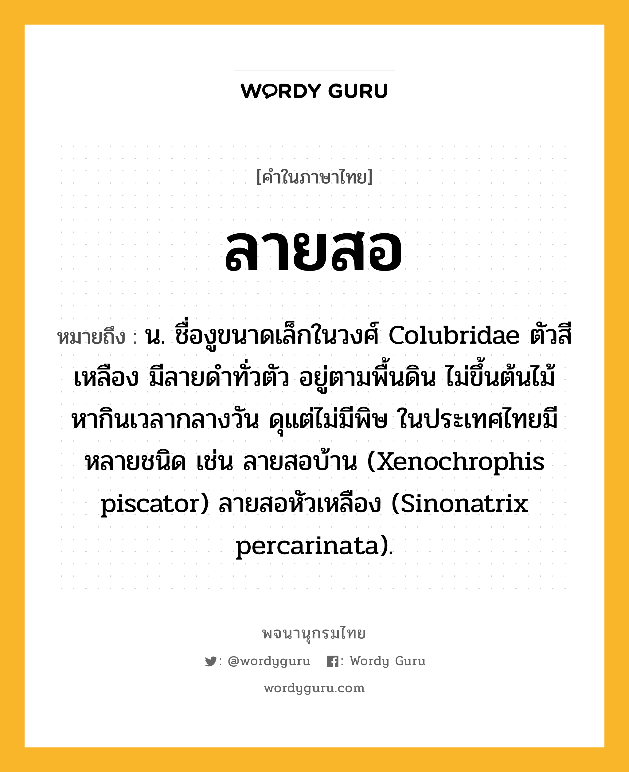 ลายสอ หมายถึงอะไร?, คำในภาษาไทย ลายสอ หมายถึง น. ชื่องูขนาดเล็กในวงศ์ Colubridae ตัวสีเหลือง มีลายดําทั่วตัว อยู่ตามพื้นดิน ไม่ขึ้นต้นไม้ หากินเวลากลางวัน ดุแต่ไม่มีพิษ ในประเทศไทยมีหลายชนิด เช่น ลายสอบ้าน (Xenochrophis piscator) ลายสอหัวเหลือง (Sinonatrix percarinata).