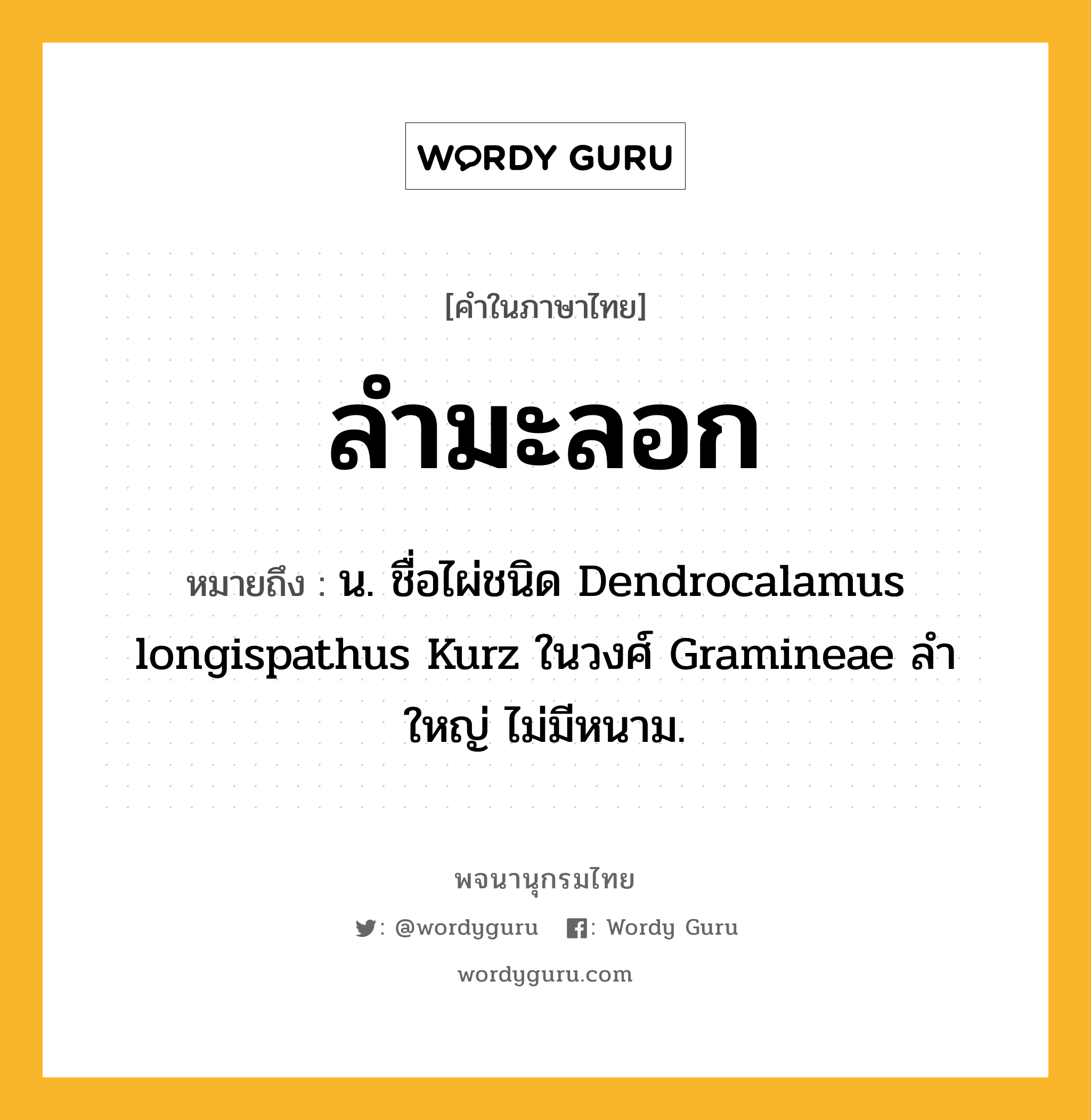 ลำมะลอก หมายถึงอะไร?, คำในภาษาไทย ลำมะลอก หมายถึง น. ชื่อไผ่ชนิด Dendrocalamus longispathus Kurz ในวงศ์ Gramineae ลําใหญ่ ไม่มีหนาม.
