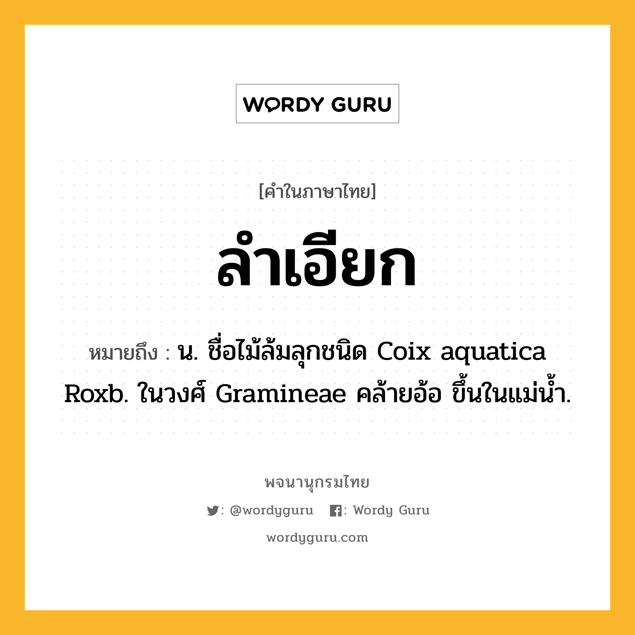ลำเอียก ความหมาย หมายถึงอะไร?, คำในภาษาไทย ลำเอียก หมายถึง น. ชื่อไม้ล้มลุกชนิด Coix aquatica Roxb. ในวงศ์ Gramineae คล้ายอ้อ ขึ้นในแม่นํ้า.