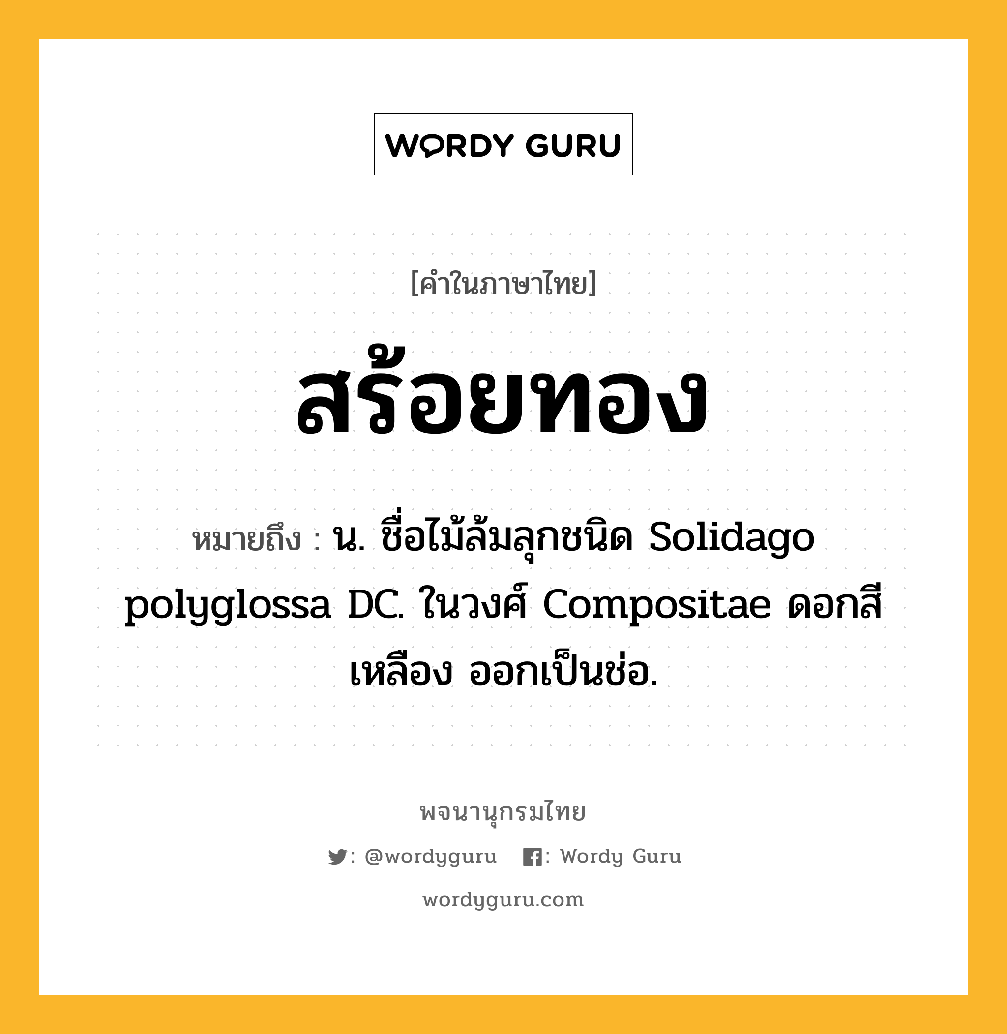 สร้อยทอง ความหมาย หมายถึงอะไร?, คำในภาษาไทย สร้อยทอง หมายถึง น. ชื่อไม้ล้มลุกชนิด Solidago polyglossa DC. ในวงศ์ Compositae ดอกสีเหลือง ออกเป็นช่อ.