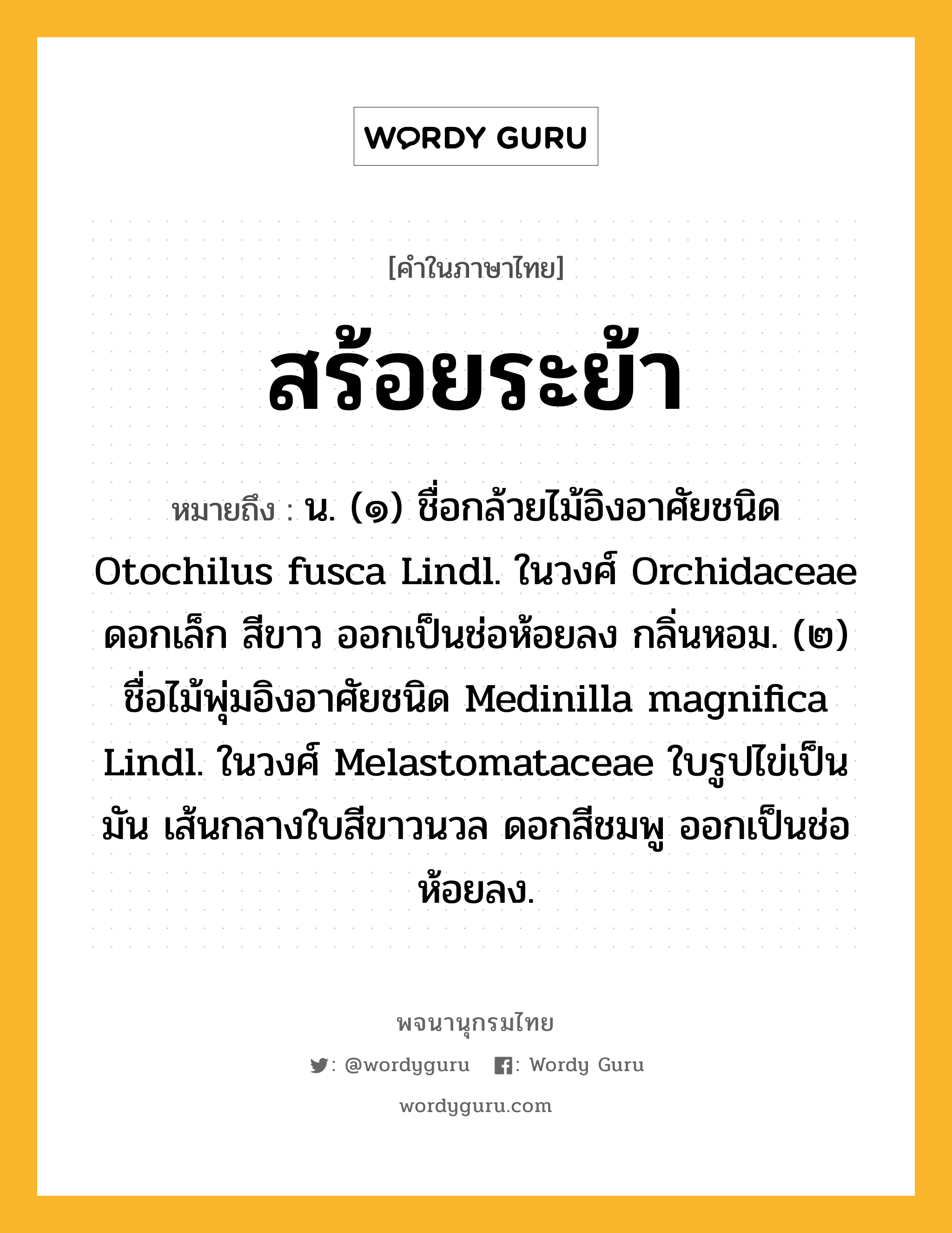 สร้อยระย้า ความหมาย หมายถึงอะไร?, คำในภาษาไทย สร้อยระย้า หมายถึง น. (๑) ชื่อกล้วยไม้อิงอาศัยชนิด Otochilus fusca Lindl. ในวงศ์ Orchidaceae ดอกเล็ก สีขาว ออกเป็นช่อห้อยลง กลิ่นหอม. (๒) ชื่อไม้พุ่มอิงอาศัยชนิด Medinilla magnifica Lindl. ในวงศ์ Melastomataceae ใบรูปไข่เป็นมัน เส้นกลางใบสีขาวนวล ดอกสีชมพู ออกเป็นช่อห้อยลง.