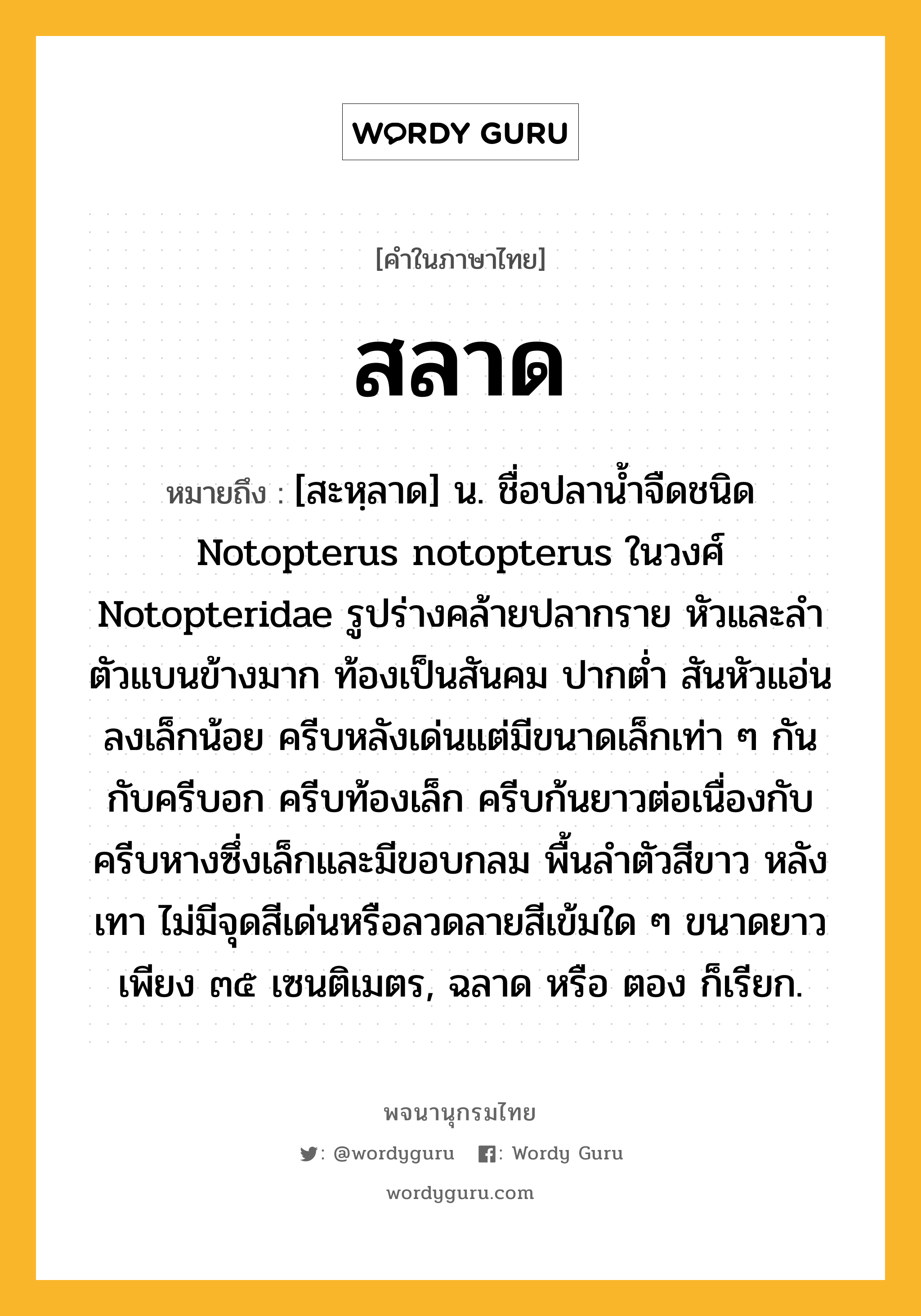 สลาด หมายถึงอะไร?, คำในภาษาไทย สลาด หมายถึง [สะหฺลาด] น. ชื่อปลานํ้าจืดชนิด Notopterus notopterus ในวงศ์ Notopteridae รูปร่างคล้ายปลากราย หัวและลําตัวแบนข้างมาก ท้องเป็นสันคม ปากตํ่า สันหัวแอ่นลงเล็กน้อย ครีบหลังเด่นแต่มีขนาดเล็กเท่า ๆ กันกับครีบอก ครีบท้องเล็ก ครีบก้นยาวต่อเนื่องกับครีบหางซึ่งเล็กและมีขอบกลม พื้นลําตัวสีขาว หลังเทา ไม่มีจุดสีเด่นหรือลวดลายสีเข้มใด ๆ ขนาดยาวเพียง ๓๕ เซนติเมตร, ฉลาด หรือ ตอง ก็เรียก.