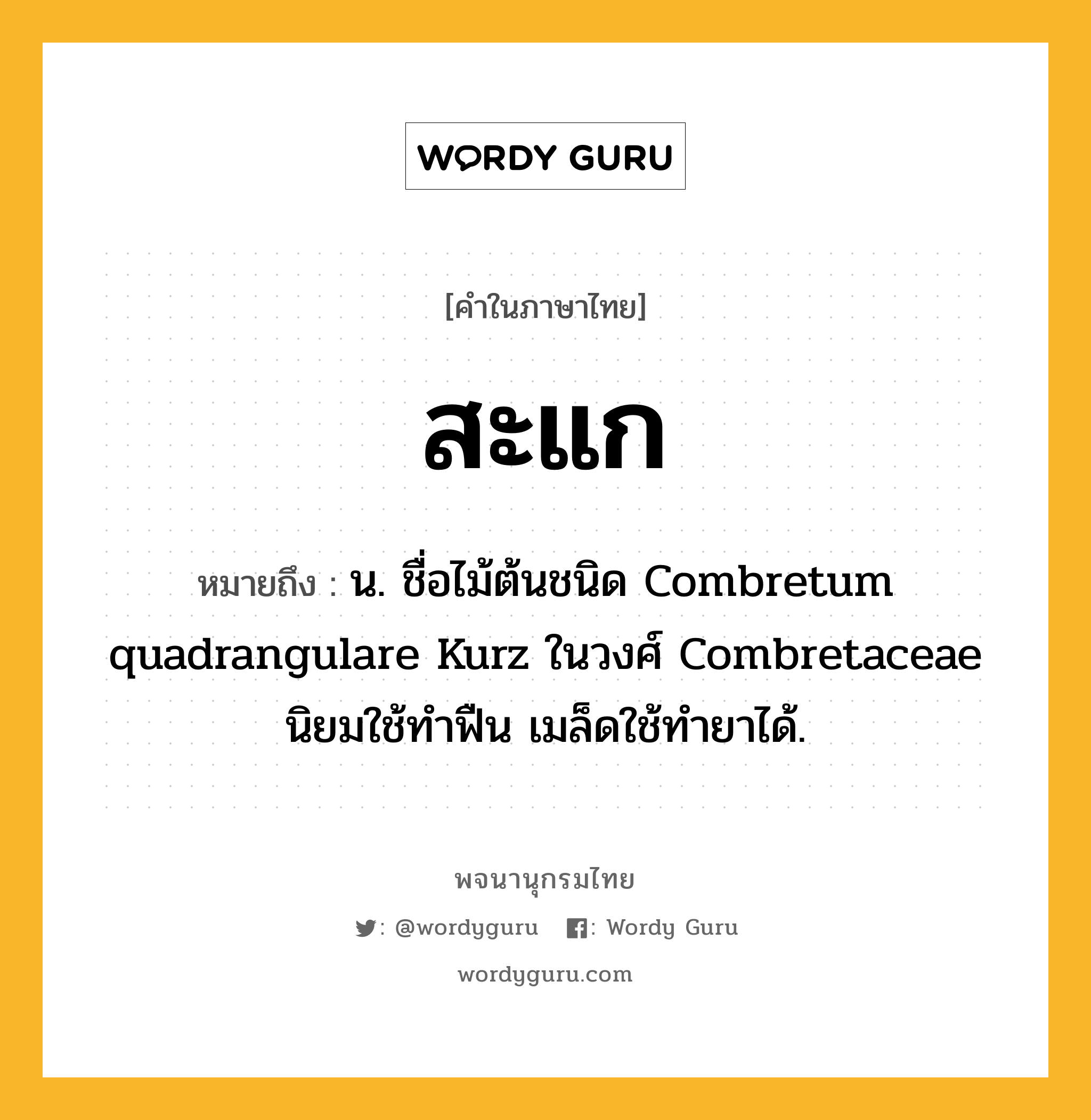 สะแก หมายถึงอะไร?, คำในภาษาไทย สะแก หมายถึง น. ชื่อไม้ต้นชนิด Combretum quadrangulare Kurz ในวงศ์ Combretaceae นิยมใช้ทําฟืน เมล็ดใช้ทํายาได้.