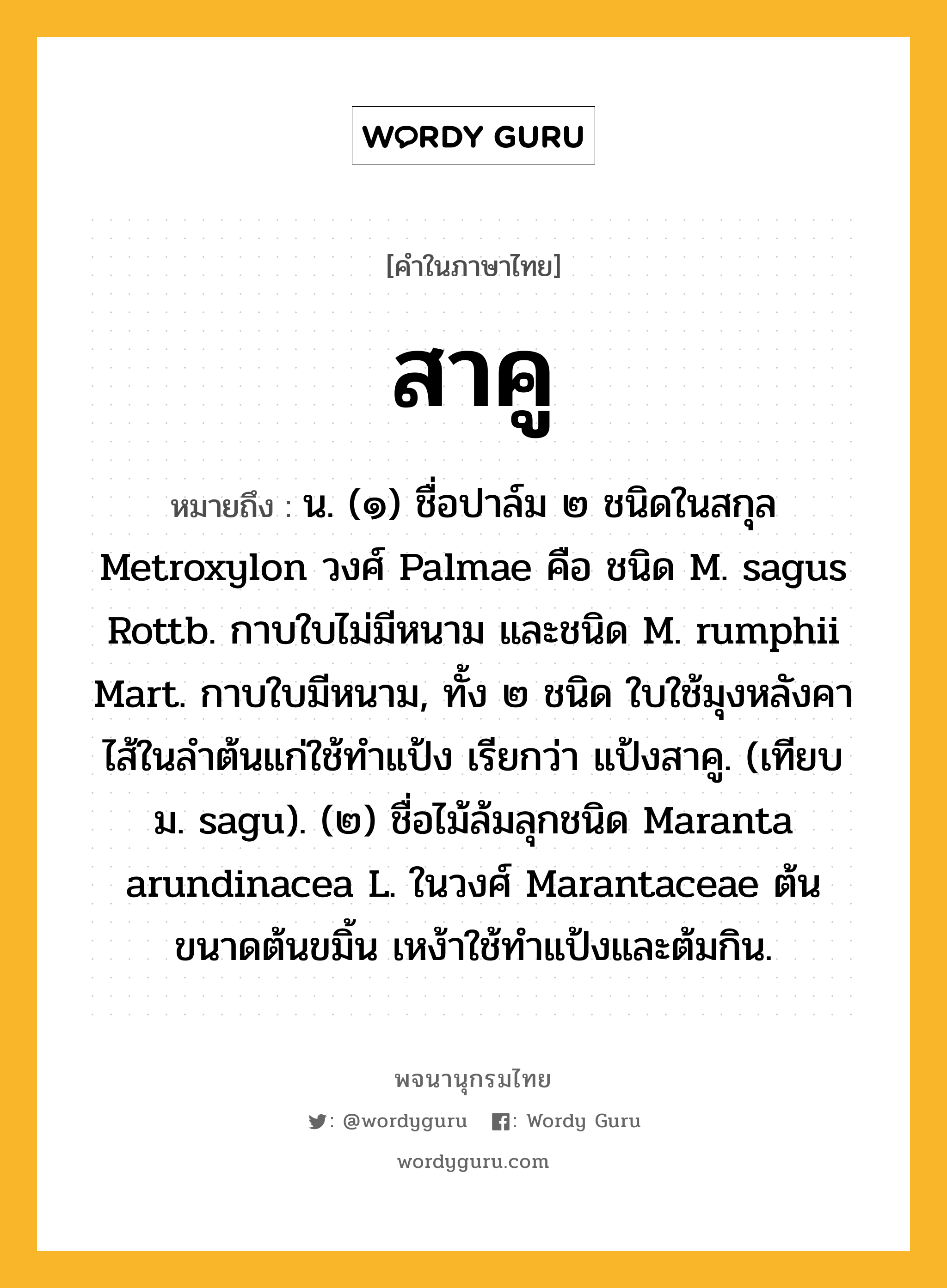 สาคู ความหมาย หมายถึงอะไร?, คำในภาษาไทย สาคู หมายถึง น. (๑) ชื่อปาล์ม ๒ ชนิดในสกุล Metroxylon วงศ์ Palmae คือ ชนิด M. sagus Rottb. กาบใบไม่มีหนาม และชนิด M. rumphii Mart. กาบใบมีหนาม, ทั้ง ๒ ชนิด ใบใช้มุงหลังคา ไส้ในลําต้นแก่ใช้ทําแป้ง เรียกว่า แป้งสาคู. (เทียบ ม. sagu). (๒) ชื่อไม้ล้มลุกชนิด Maranta arundinacea L. ในวงศ์ Marantaceae ต้นขนาดต้นขมิ้น เหง้าใช้ทําแป้งและต้มกิน.