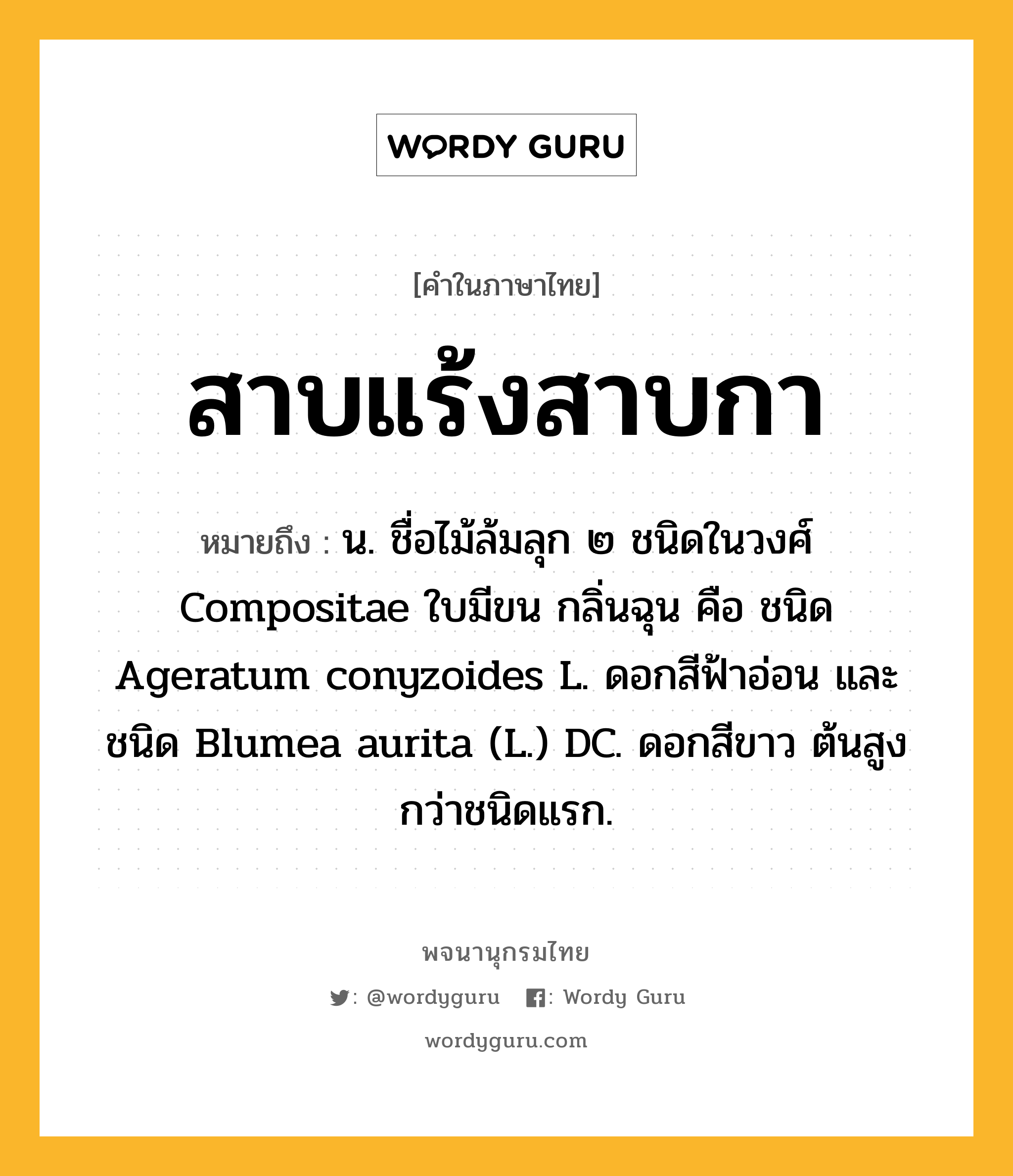 สาบแร้งสาบกา ความหมาย หมายถึงอะไร?, คำในภาษาไทย สาบแร้งสาบกา หมายถึง น. ชื่อไม้ล้มลุก ๒ ชนิดในวงศ์ Compositae ใบมีขน กลิ่นฉุน คือ ชนิด Ageratum conyzoides L. ดอกสีฟ้าอ่อน และชนิด Blumea aurita (L.) DC. ดอกสีขาว ต้นสูงกว่าชนิดแรก.