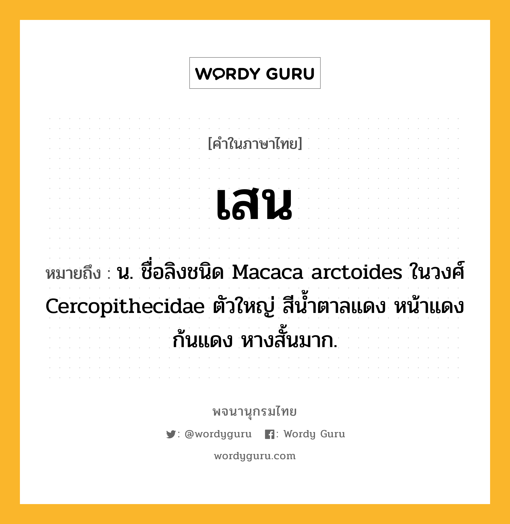เสน ความหมาย หมายถึงอะไร?, คำในภาษาไทย เสน หมายถึง น. ชื่อลิงชนิด Macaca arctoides ในวงศ์ Cercopithecidae ตัวใหญ่ สีนํ้าตาลแดง หน้าแดง ก้นแดง หางสั้นมาก.