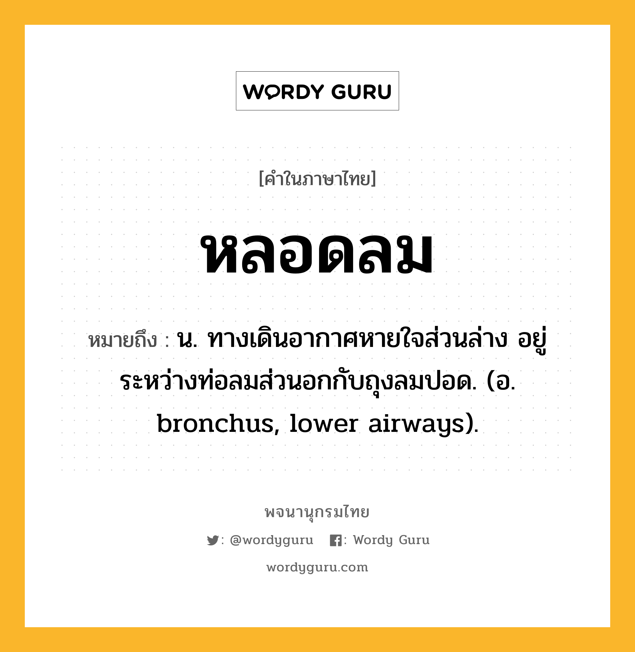 หลอดลม ความหมาย หมายถึงอะไร?, คำในภาษาไทย หลอดลม หมายถึง น. ทางเดินอากาศหายใจส่วนล่าง อยู่ระหว่างท่อลมส่วนอกกับถุงลมปอด. (อ. bronchus, lower airways).