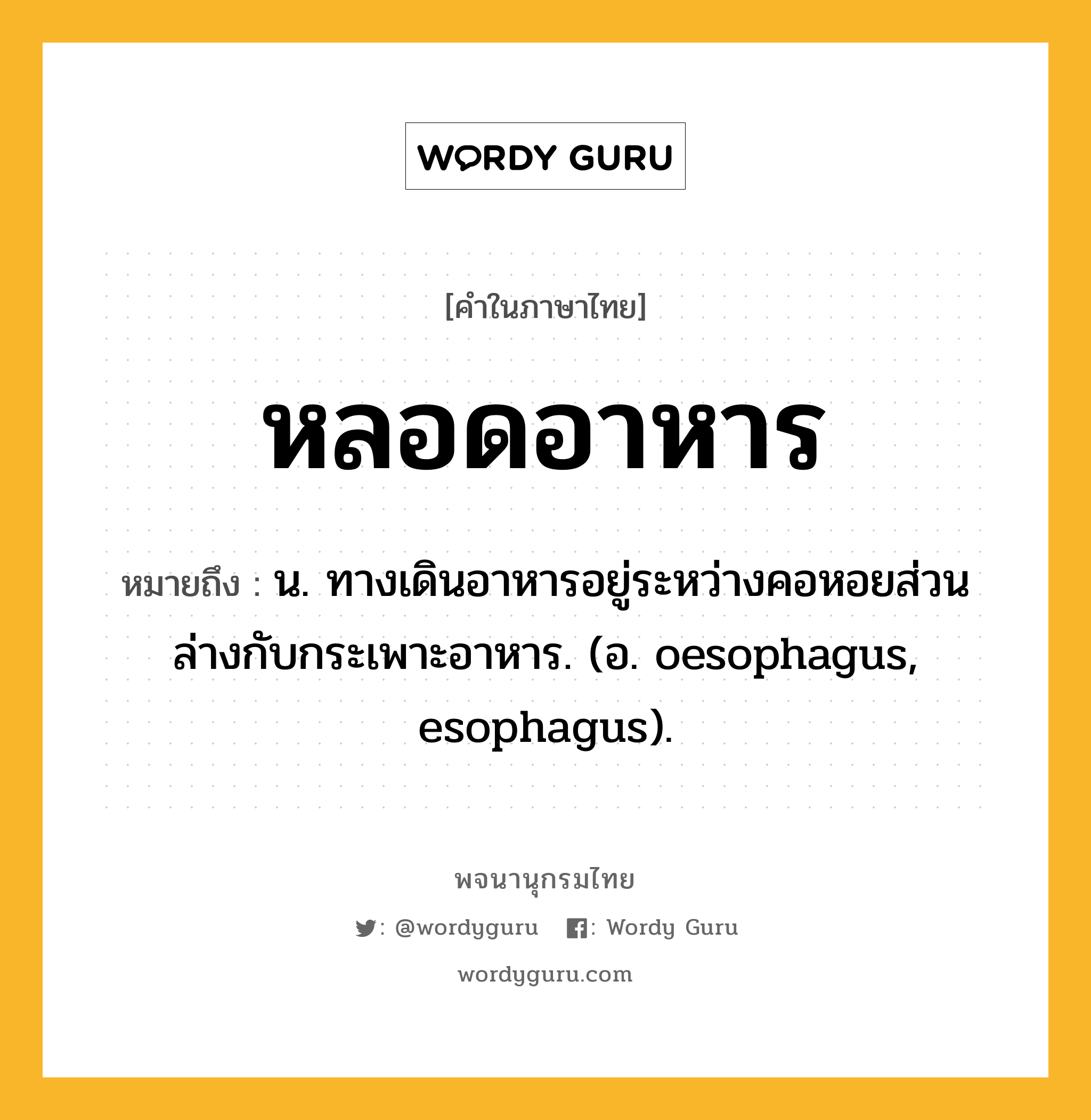 หลอดอาหาร หมายถึงอะไร?, คำในภาษาไทย หลอดอาหาร หมายถึง น. ทางเดินอาหารอยู่ระหว่างคอหอยส่วนล่างกับกระเพาะอาหาร. (อ. oesophagus, esophagus).