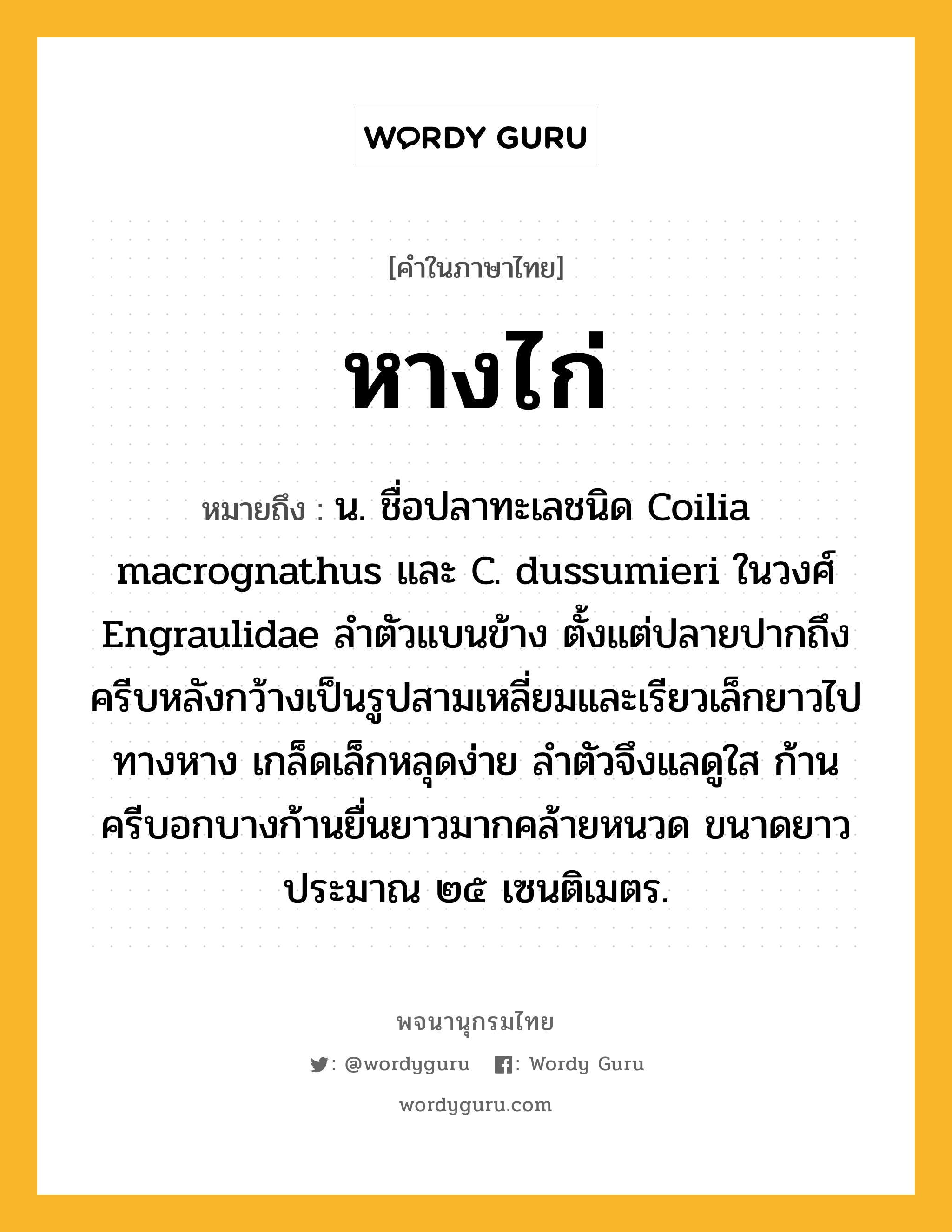 หางไก่ หมายถึงอะไร?, คำในภาษาไทย หางไก่ หมายถึง น. ชื่อปลาทะเลชนิด Coilia macrognathus และ C. dussumieri ในวงศ์ Engraulidae ลําตัวแบนข้าง ตั้งแต่ปลายปากถึงครีบหลังกว้างเป็นรูปสามเหลี่ยมและเรียวเล็กยาวไปทางหาง เกล็ดเล็กหลุดง่าย ลําตัวจึงแลดูใส ก้านครีบอกบางก้านยื่นยาวมากคล้ายหนวด ขนาดยาวประมาณ ๒๕ เซนติเมตร.