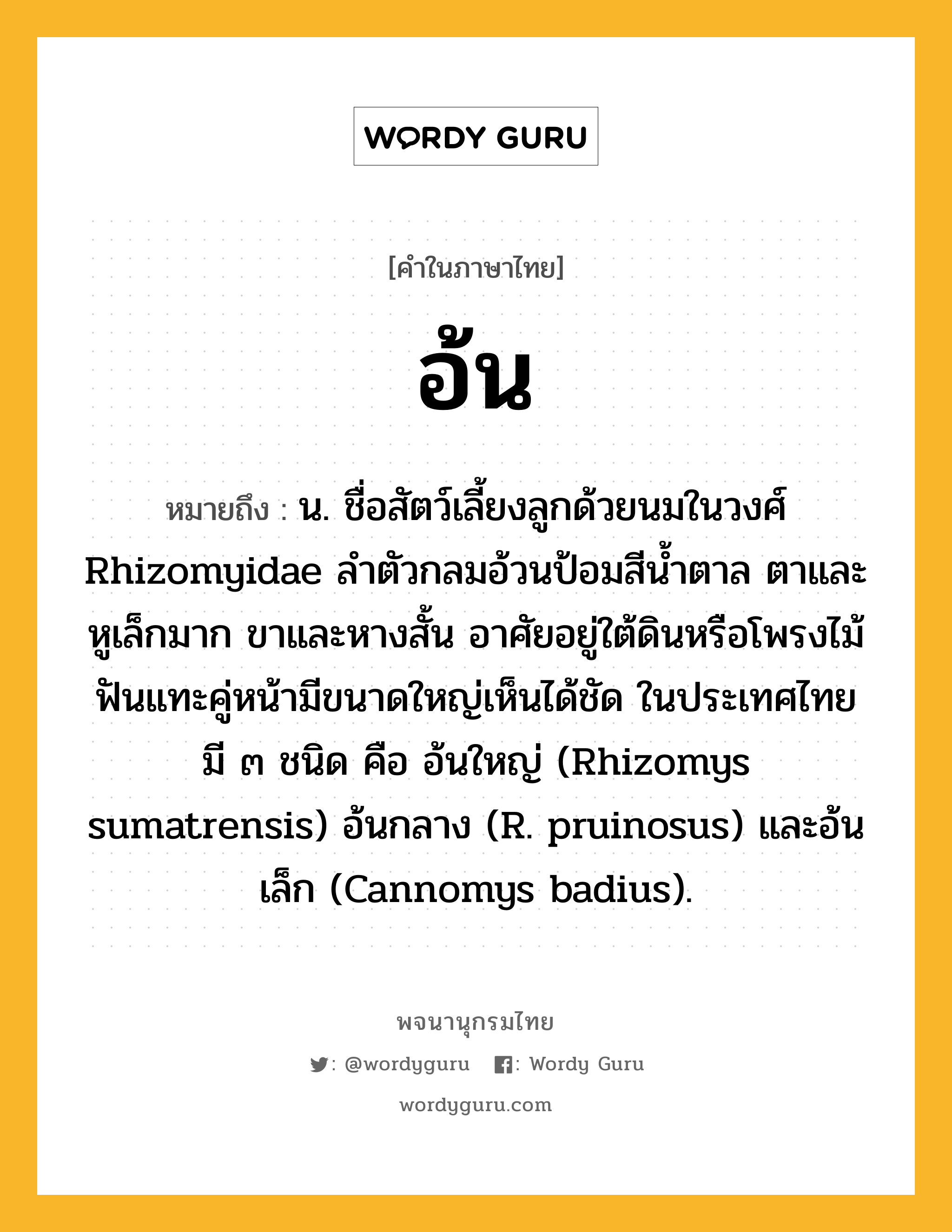 อ้น ความหมาย หมายถึงอะไร?, คำในภาษาไทย อ้น หมายถึง น. ชื่อสัตว์เลี้ยงลูกด้วยนมในวงศ์ Rhizomyidae ลําตัวกลมอ้วนป้อมสีนํ้าตาล ตาและหูเล็กมาก ขาและหางสั้น อาศัยอยู่ใต้ดินหรือโพรงไม้ ฟันแทะคู่หน้ามีขนาดใหญ่เห็นได้ชัด ในประเทศไทยมี ๓ ชนิด คือ อ้นใหญ่ (Rhizomys sumatrensis) อ้นกลาง (R. pruinosus) และอ้นเล็ก (Cannomys badius).