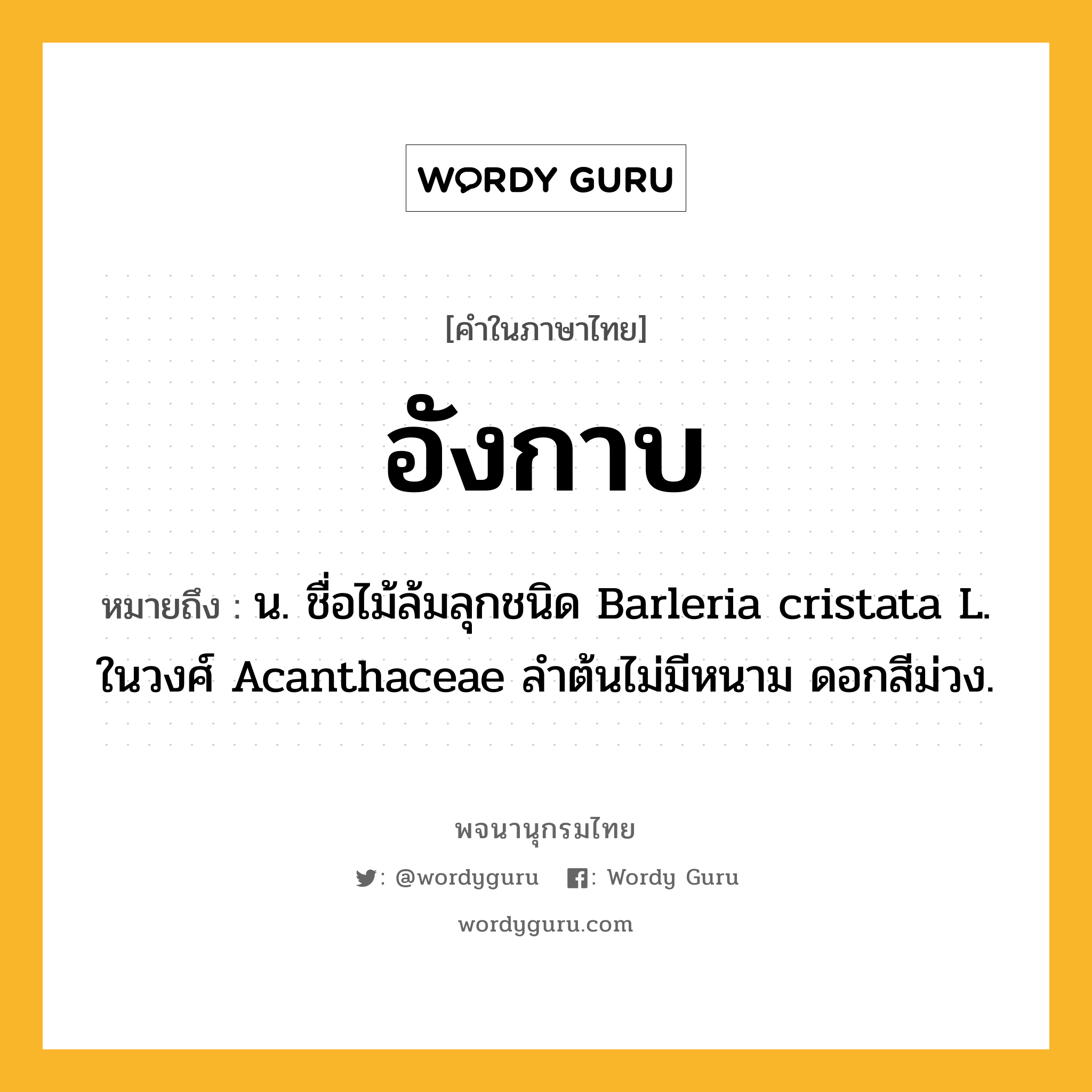 อังกาบ หมายถึงอะไร?, คำในภาษาไทย อังกาบ หมายถึง น. ชื่อไม้ล้มลุกชนิด Barleria cristata L. ในวงศ์ Acanthaceae ลําต้นไม่มีหนาม ดอกสีม่วง.
