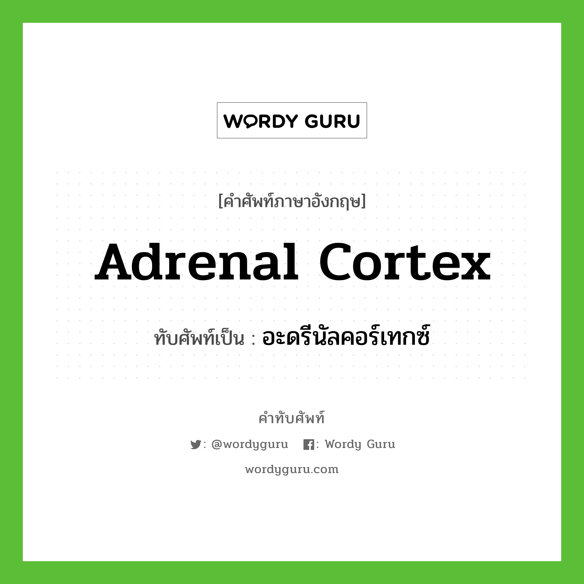 อะดรีนัลคอร์เทกซ์ เขียนอย่างไร?, คำศัพท์ภาษาอังกฤษ อะดรีนัลคอร์เทกซ์ ทับศัพท์เป็น adrenal cortex